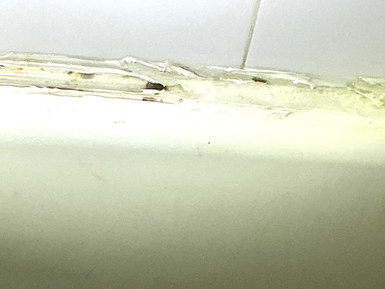 Mold found during a commercial mold inspection in Plain.
