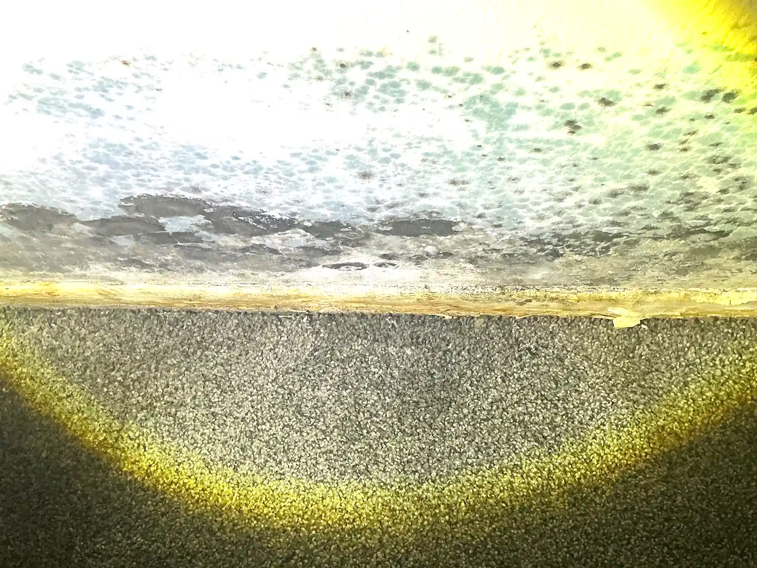 Look at what our mold inspector found in Poland..