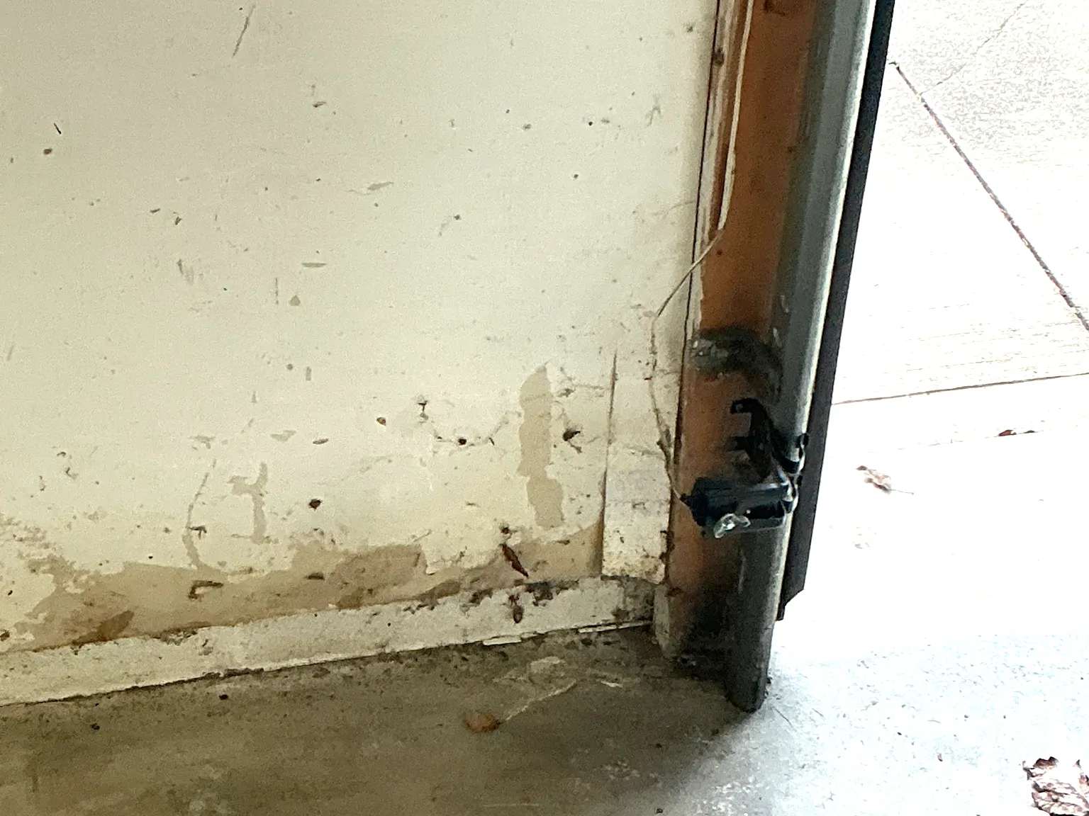 Mold found during a home inspection in Poland.