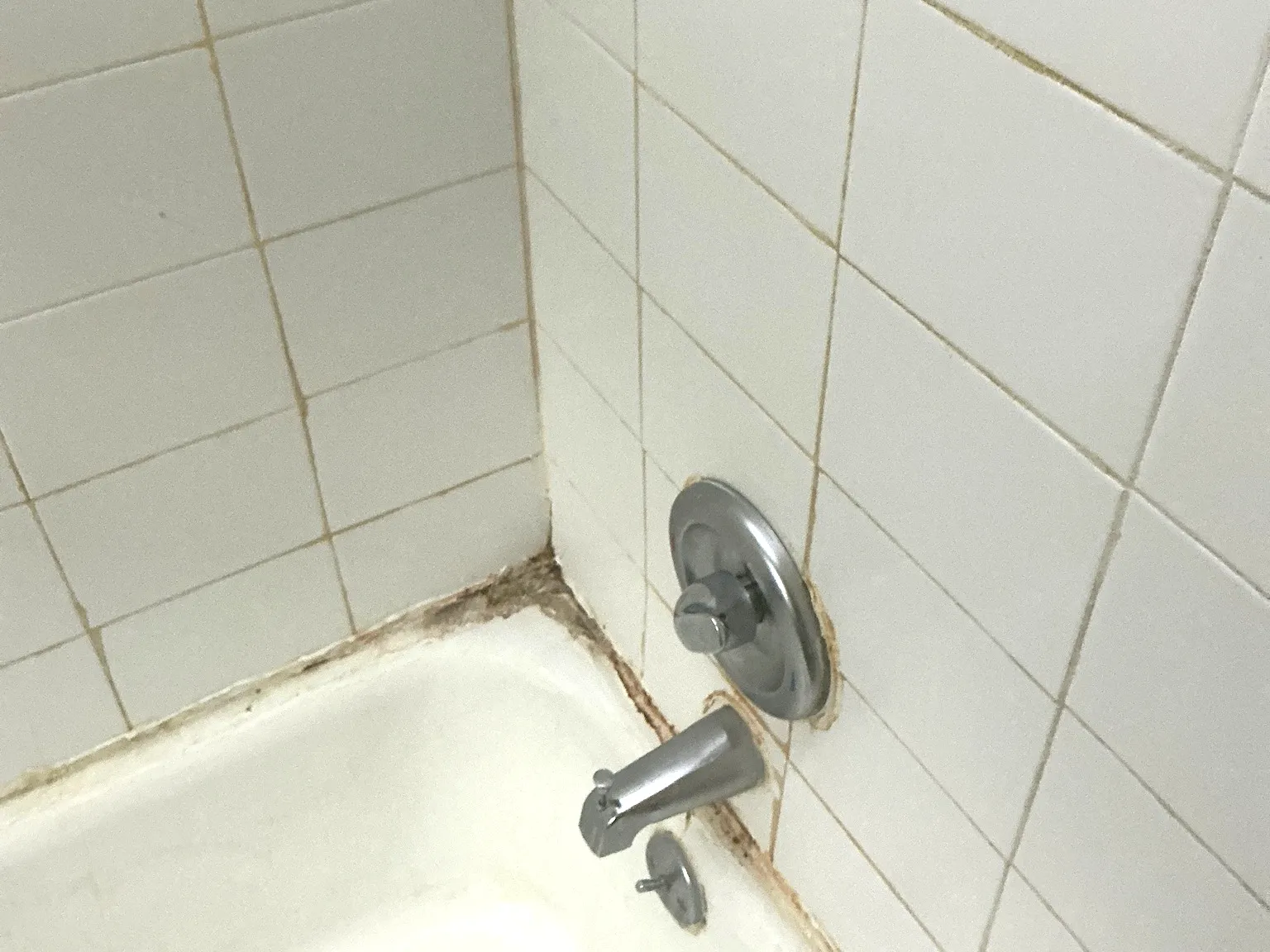 Mold inspection in Portage Lakes.