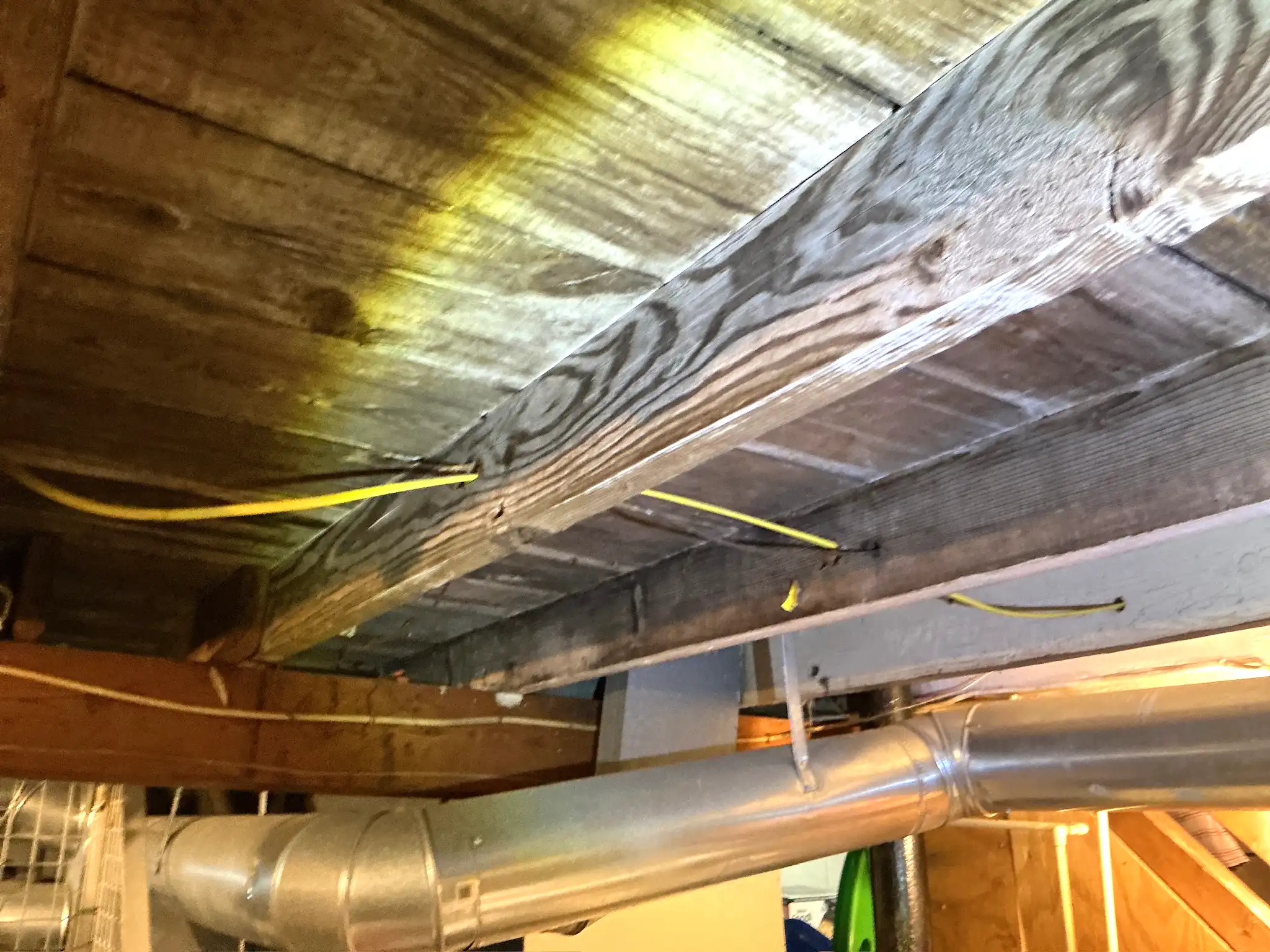 Mold found during a home inspection in Portage Lakes.