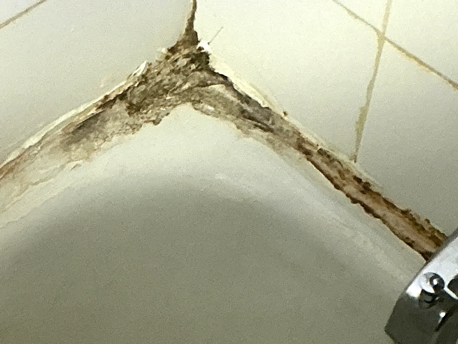 Mold found during a commercial mold inspection in Portage Lakes.