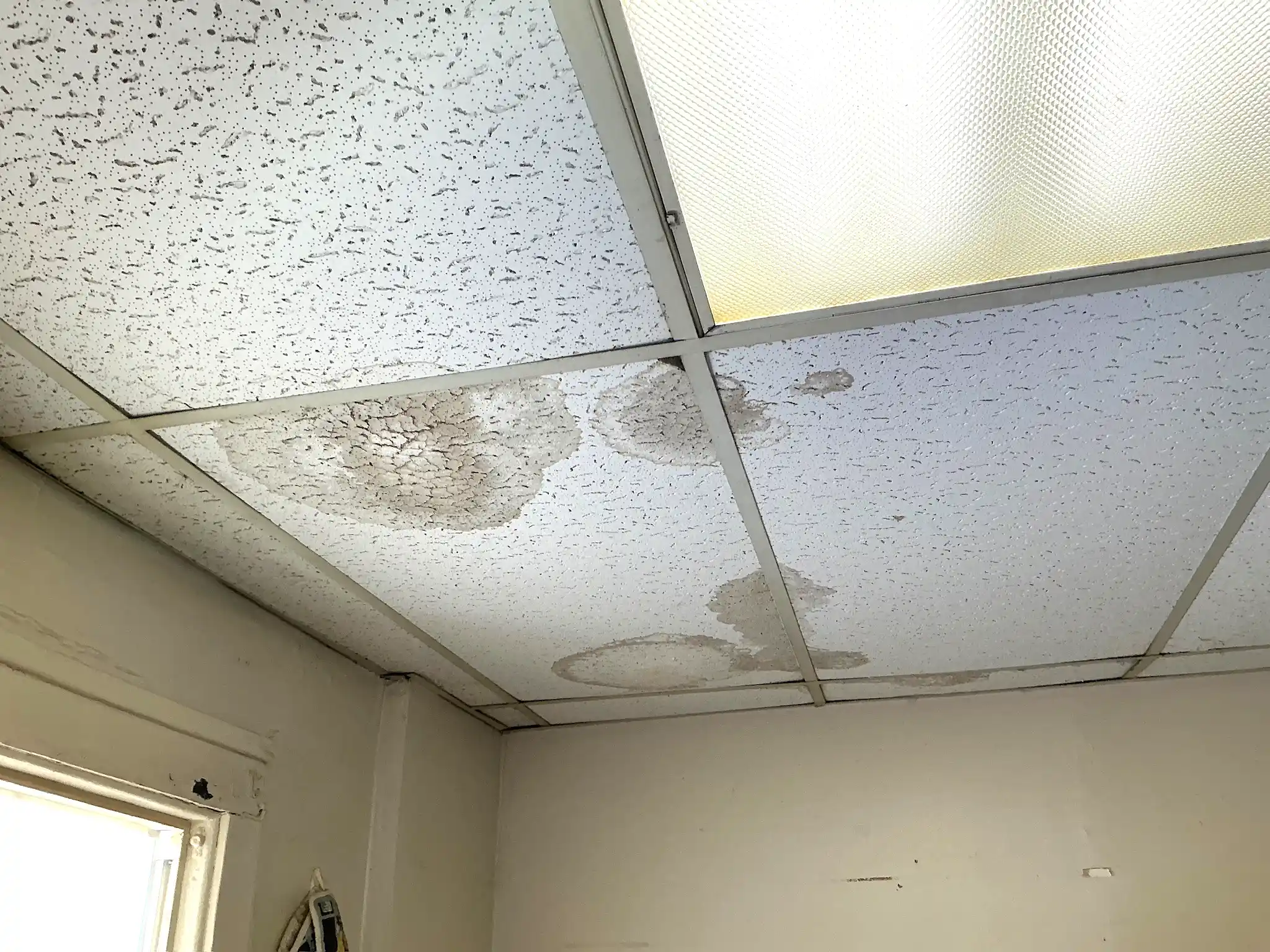 Look at what our mold inspector found in Ravenna..