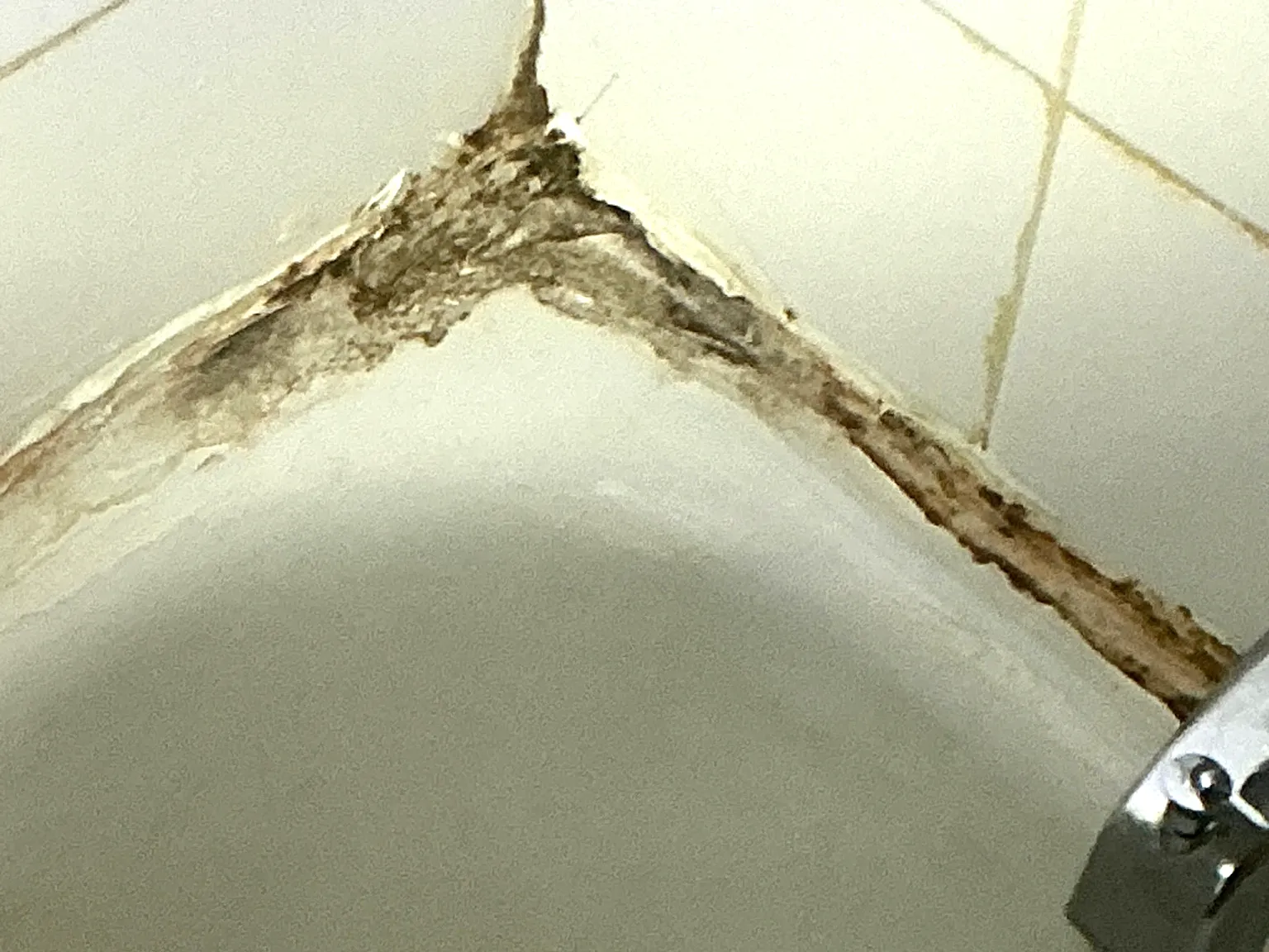 Mold inspection in Ravenna.