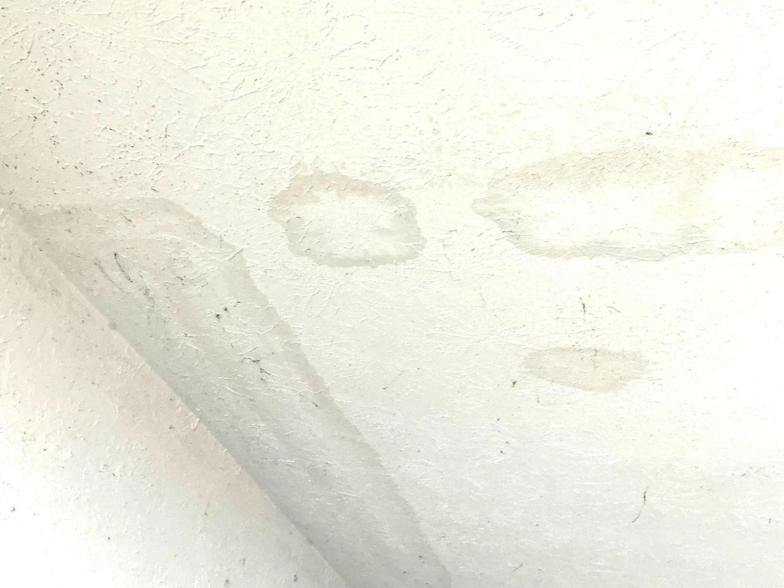 Mold found during a commercial mold inspection in Ravenna.