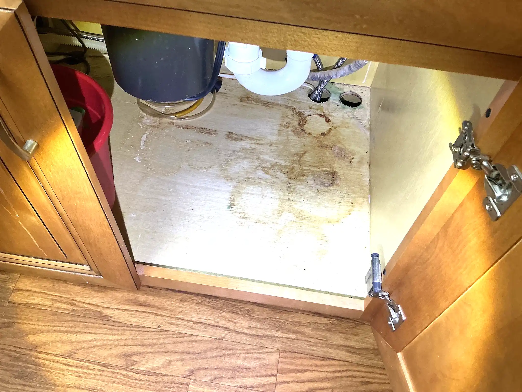 Look at what our mold inspector found in Reminderville..