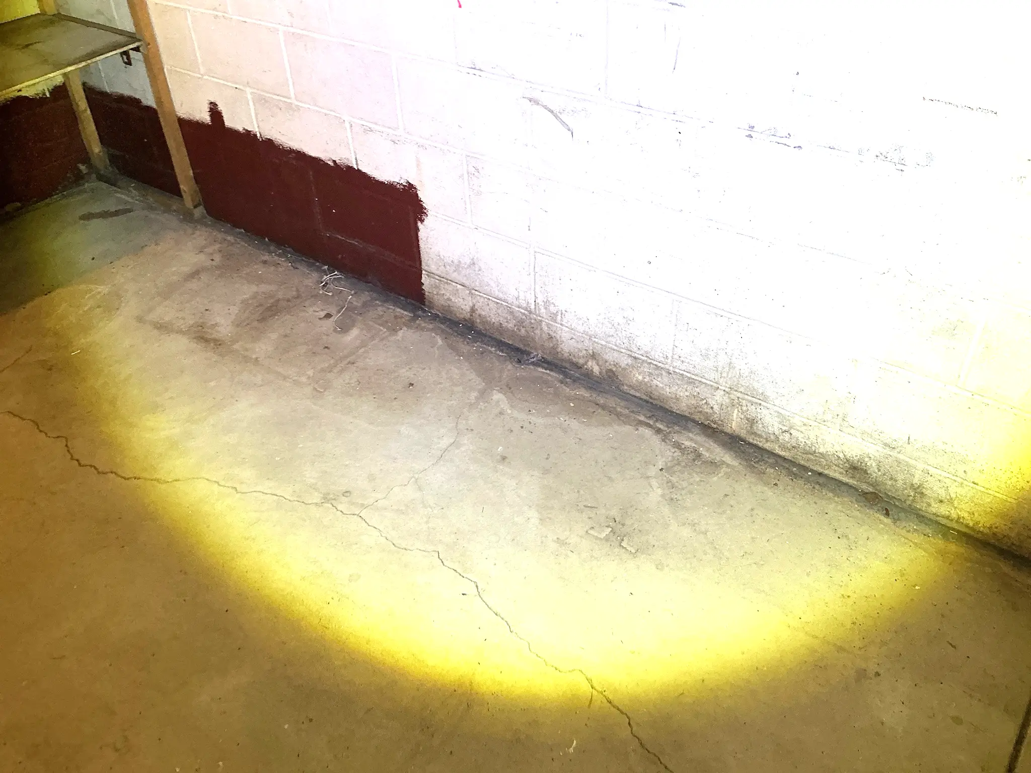 Mold found on a surface during an inspection in Reminderville.