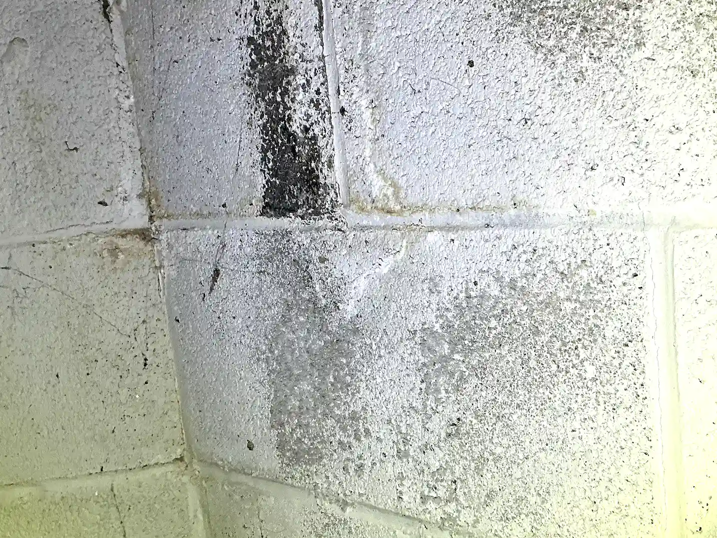 Mold inspection in Reminderville.