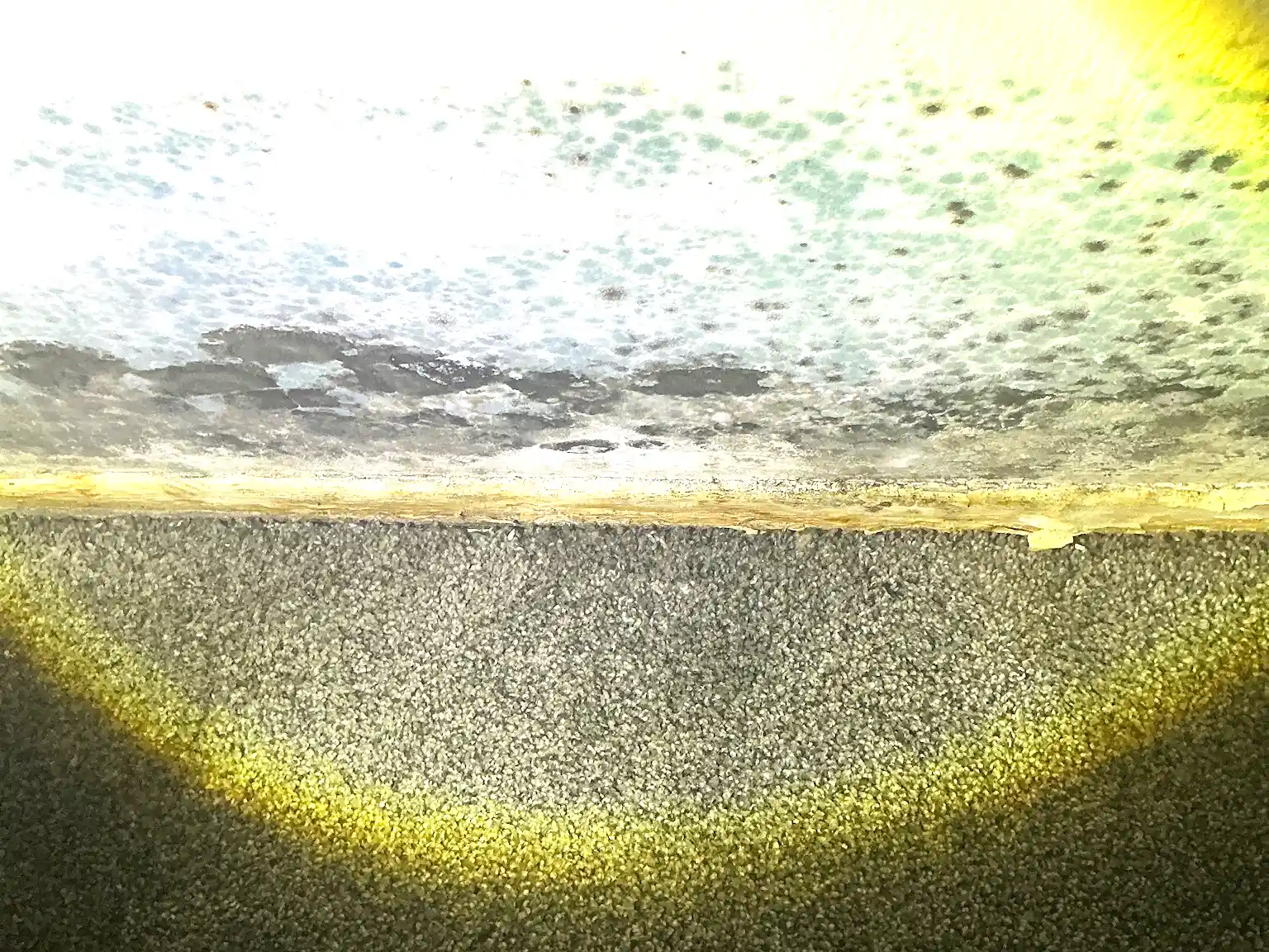 Mold found during a home inspection in Reminderville.