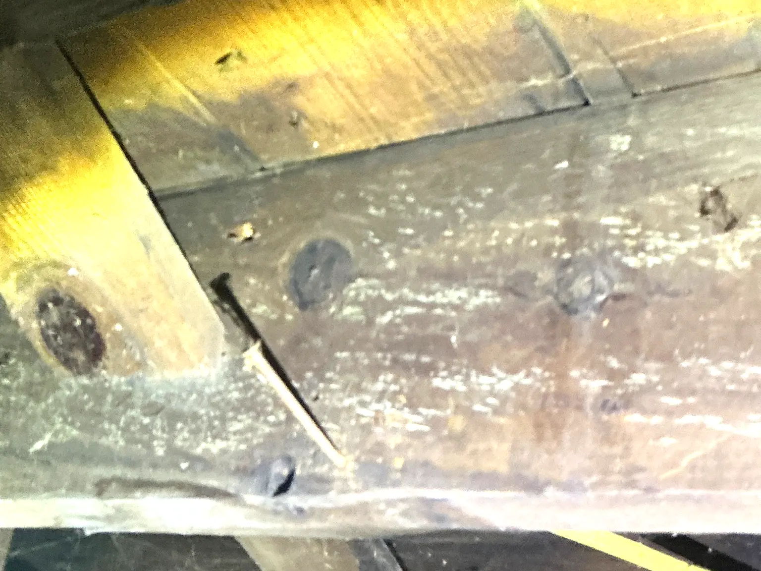 Mold found during a commercial mold inspection in Reminderville.