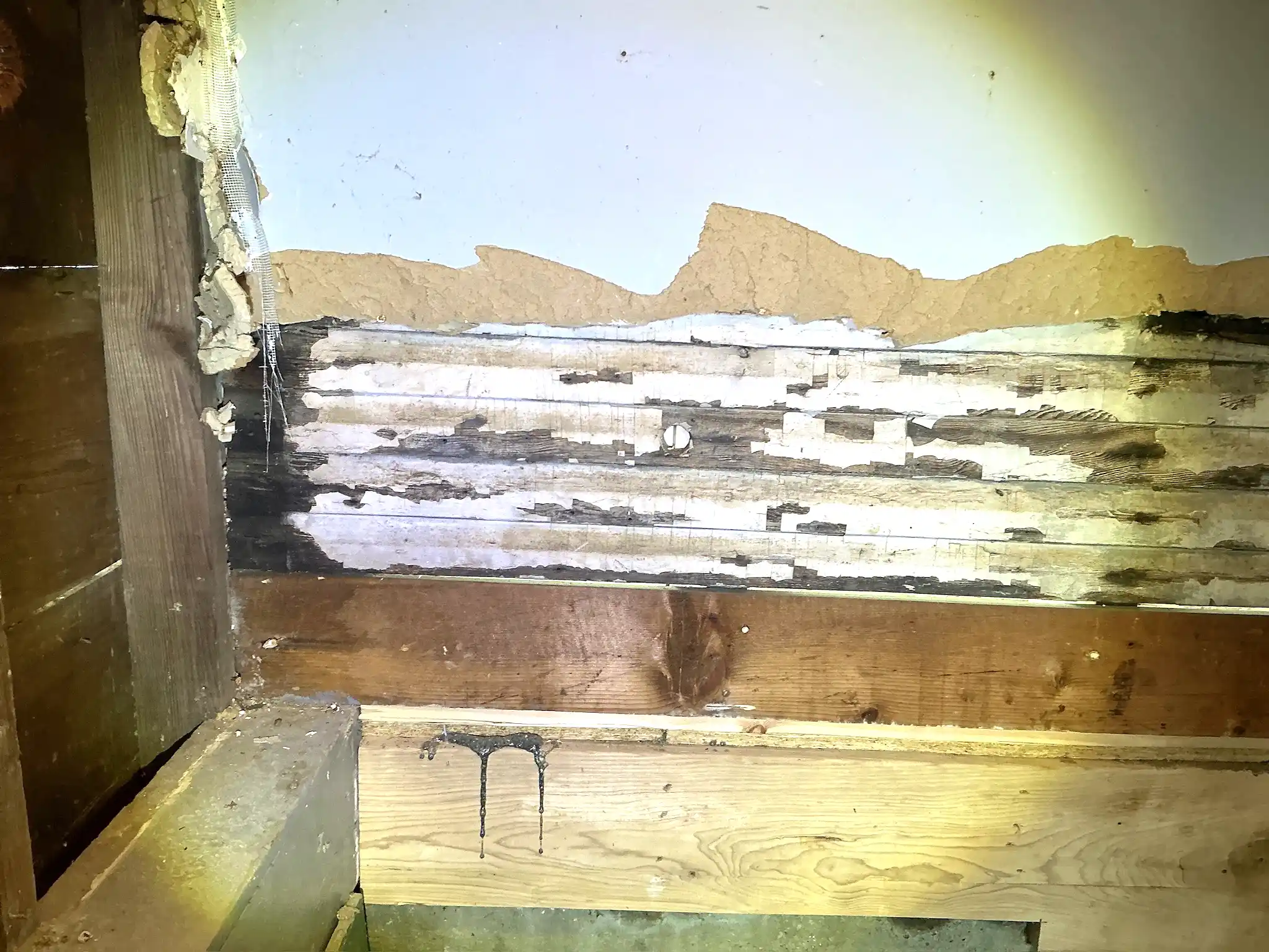 Look at what our mold inspector found in Richfield..