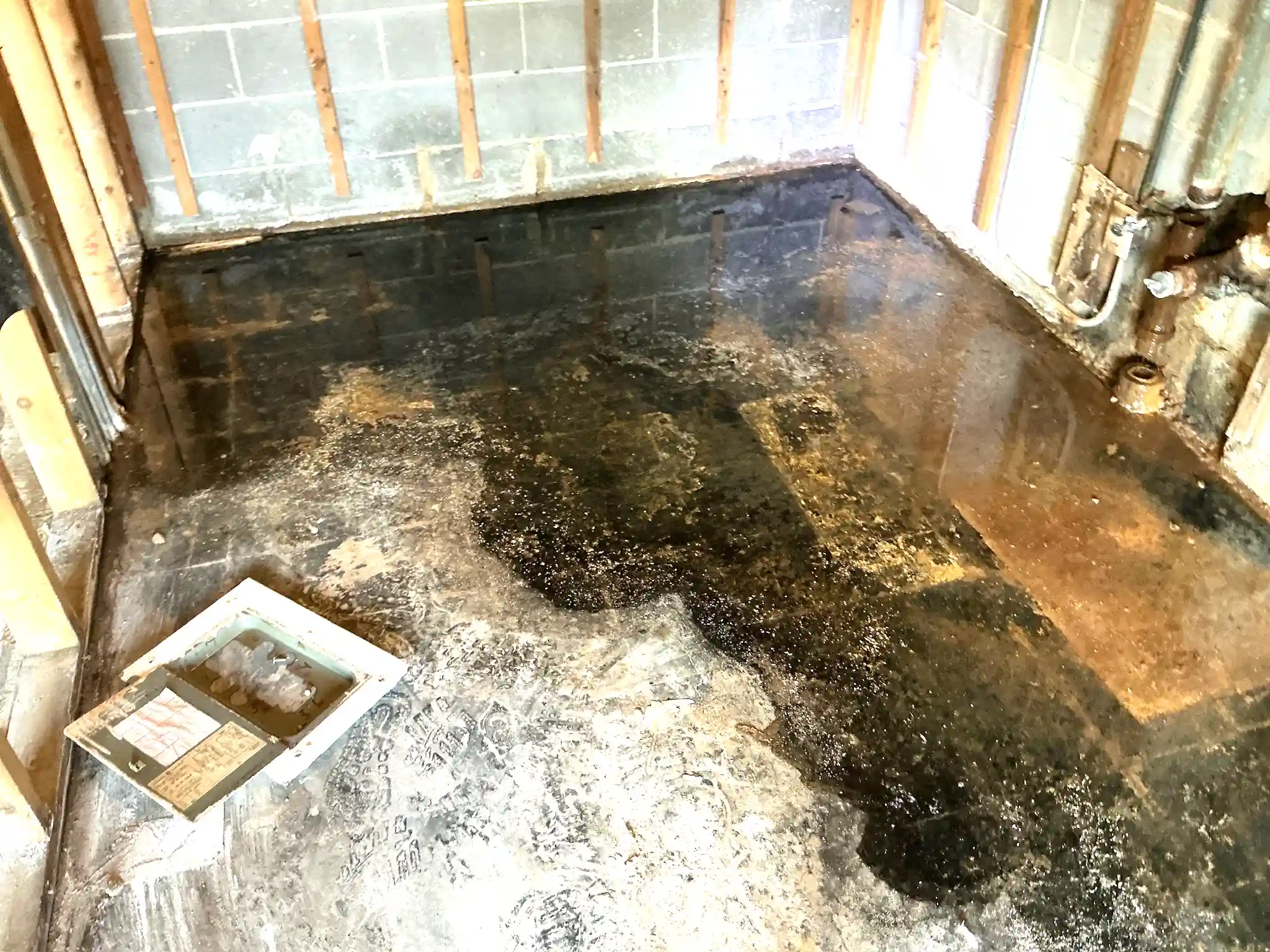 Mold inspection in Richfield.