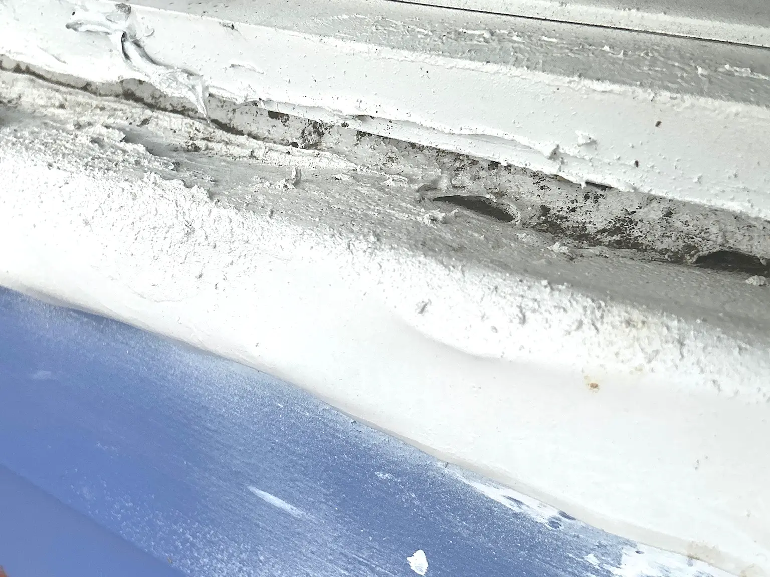 Our mold inspector found this surface mold in Richfield.