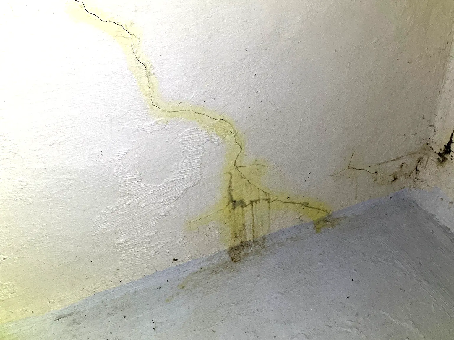 Mold found during a commercial mold inspection in Richfield.
