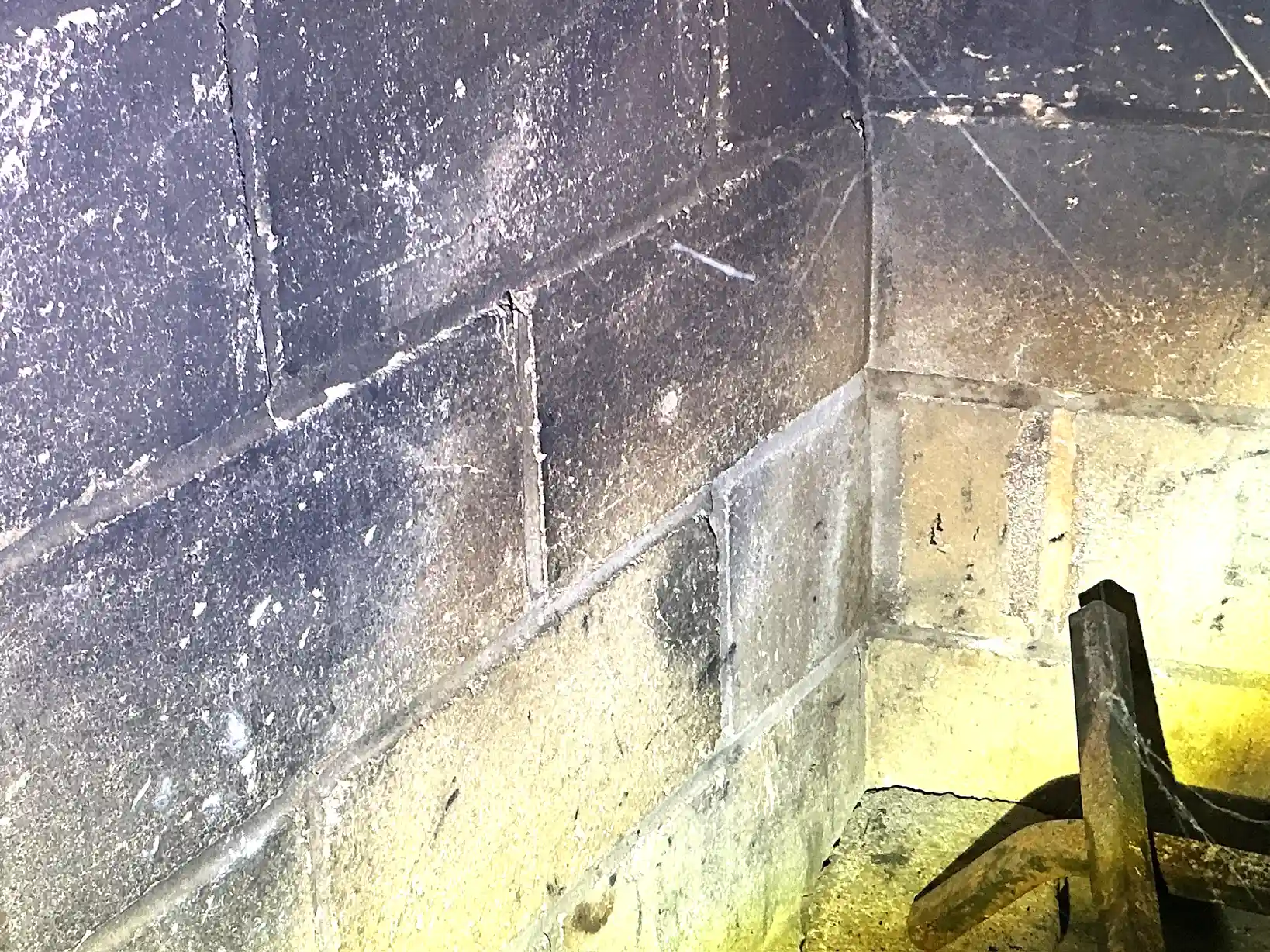 Mold found on a surface during an inspection in Richmond Heights.