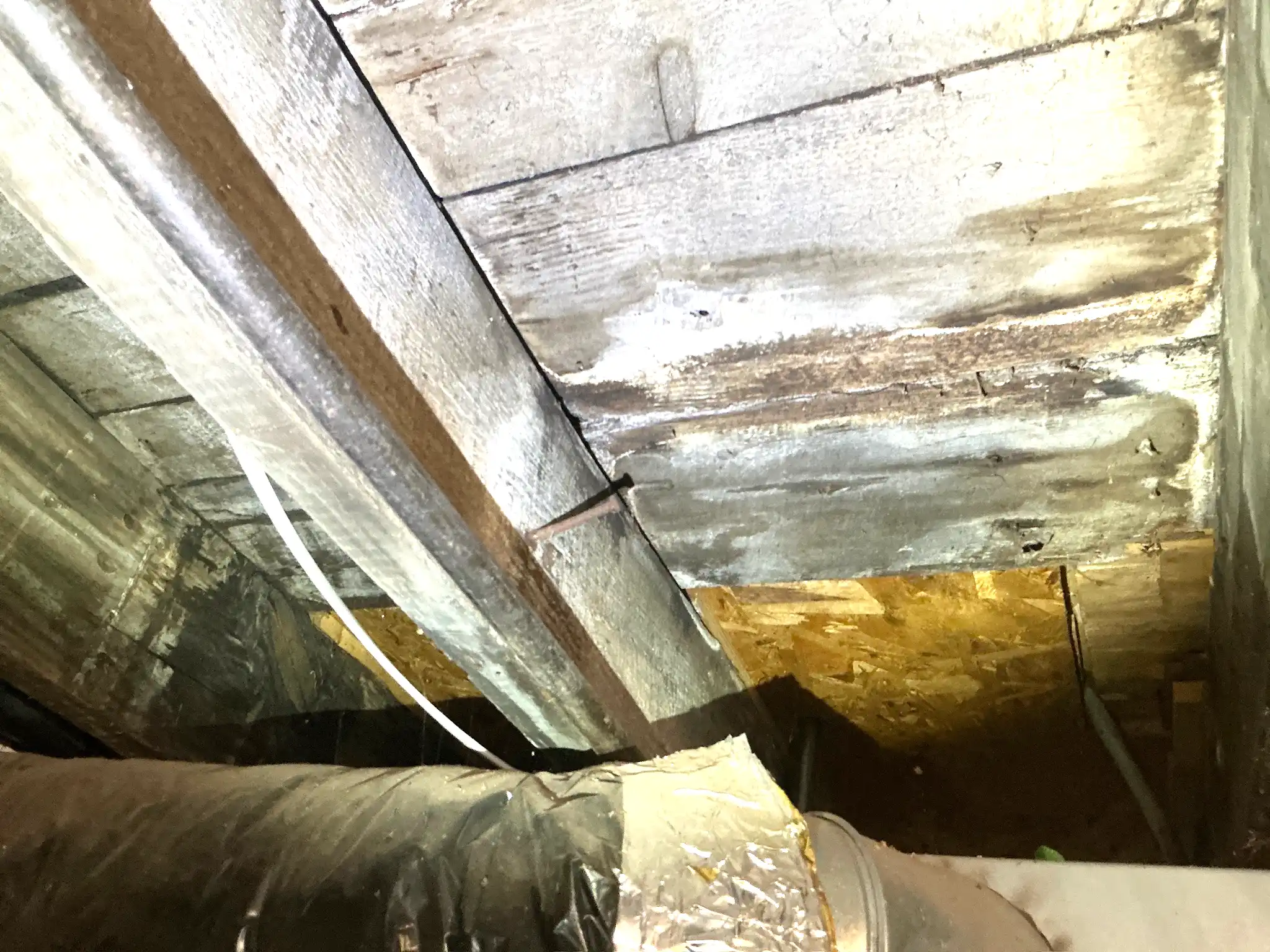 Mold inspection in Richmond Heights.