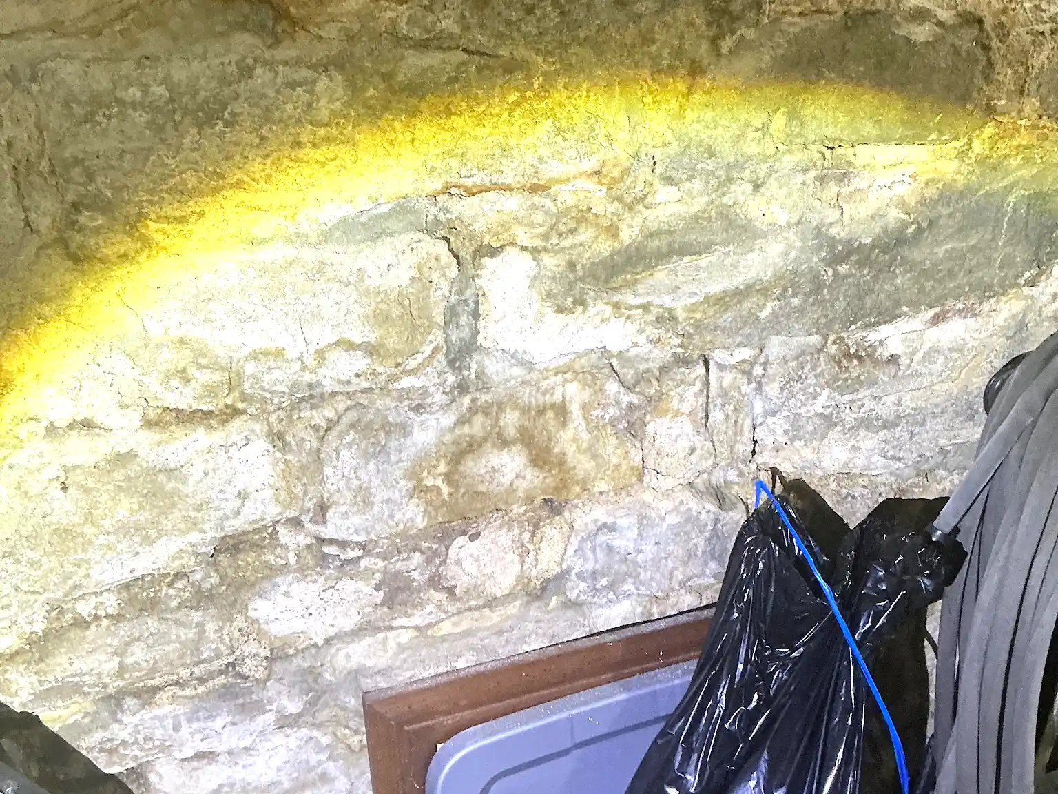 Our mold inspector found this surface mold in Richmond Heights.