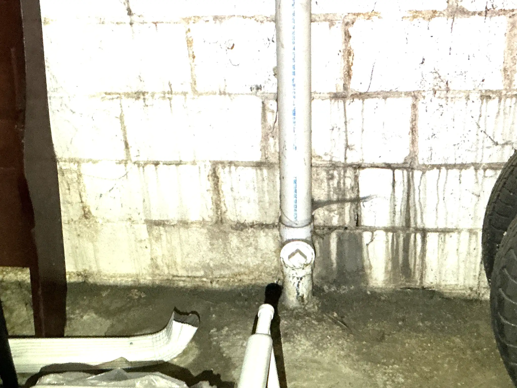 Mold found during a home inspection in Richmond Heights.