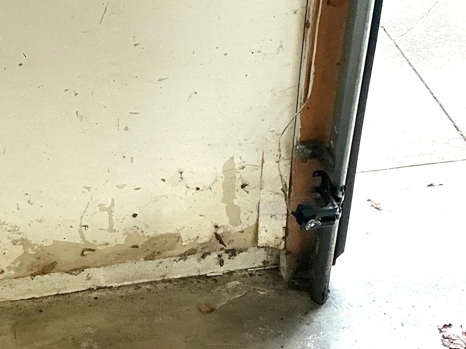 Look at what our mold inspector found in Richville..
