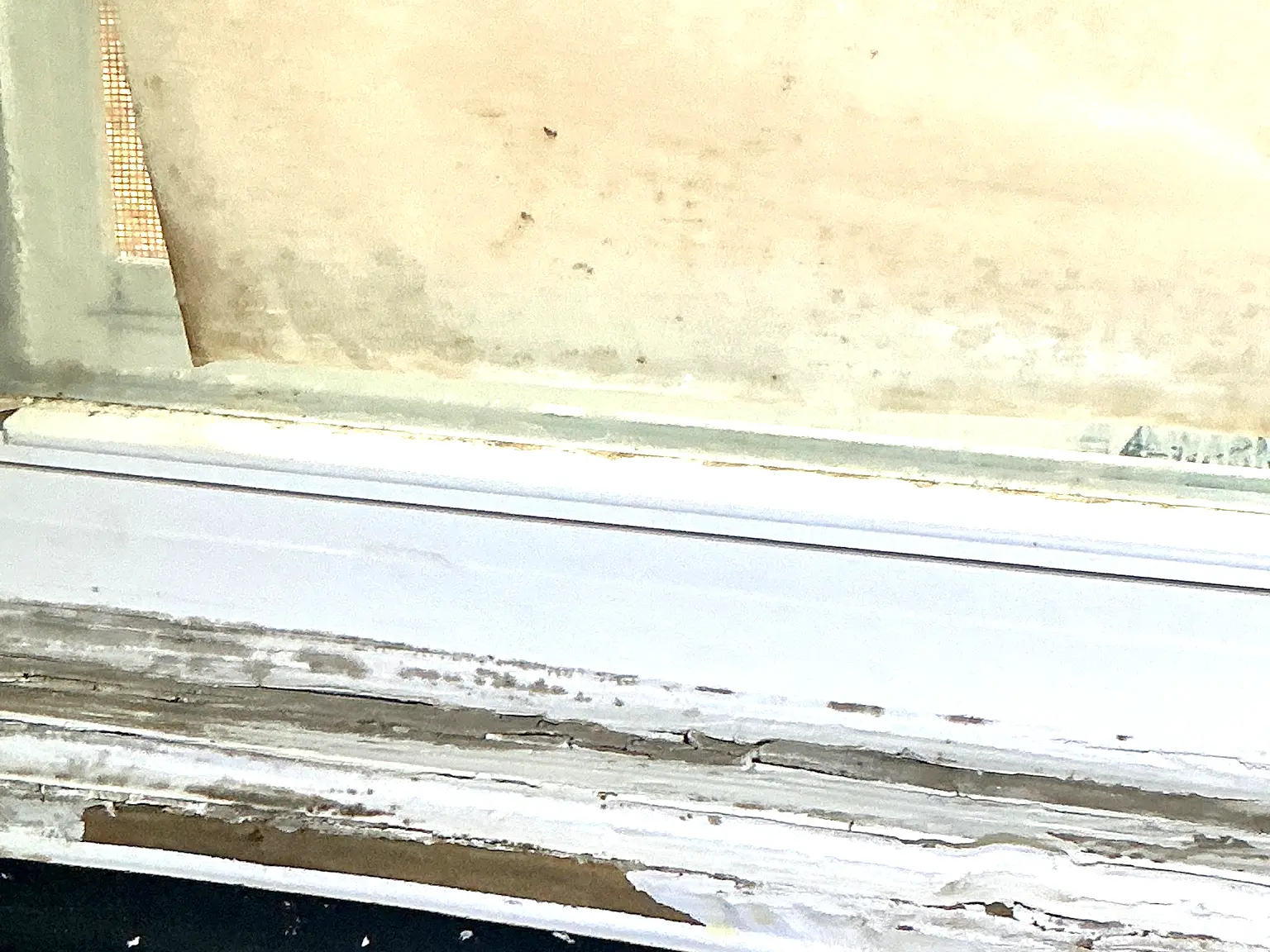 Mold found on a surface during an inspection in Richville.