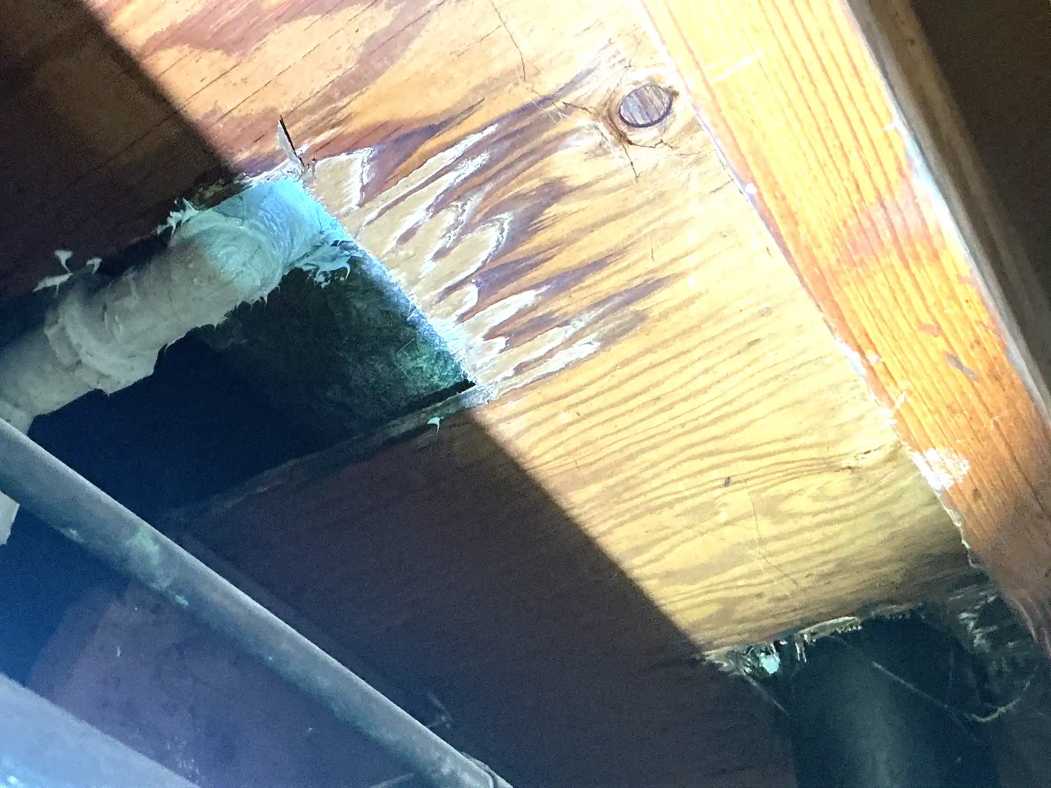 Our mold inspector found this surface mold in Richville.