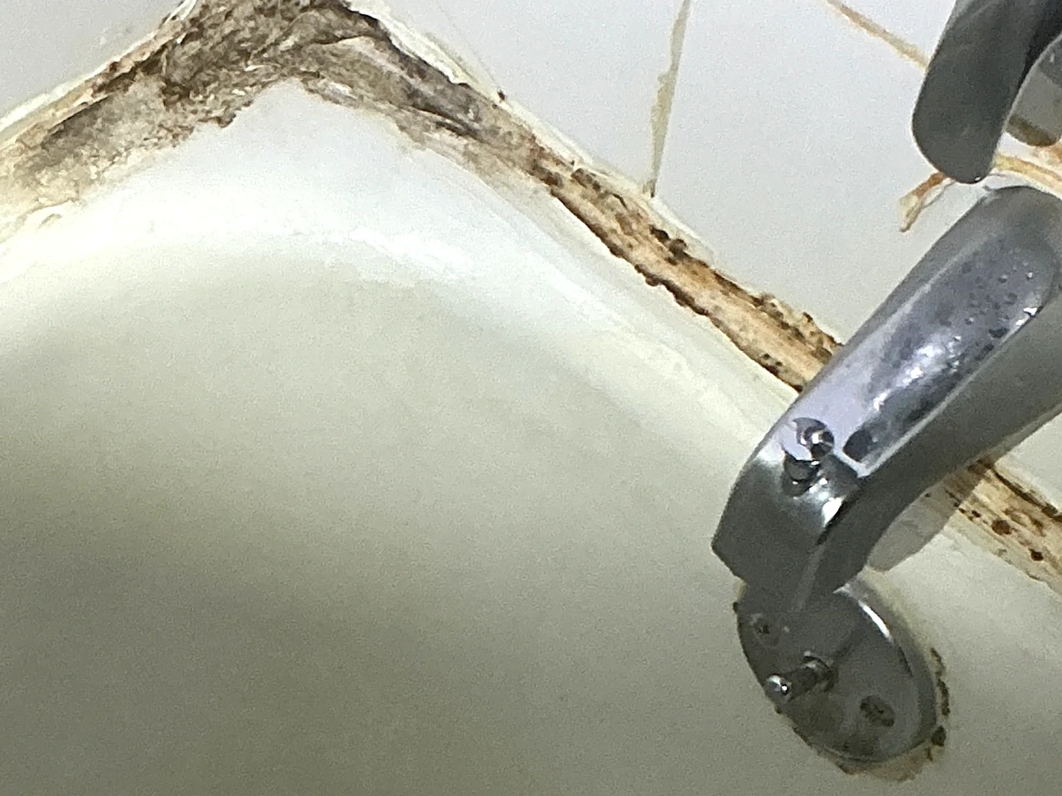 Mold found during a home inspection in Richville.