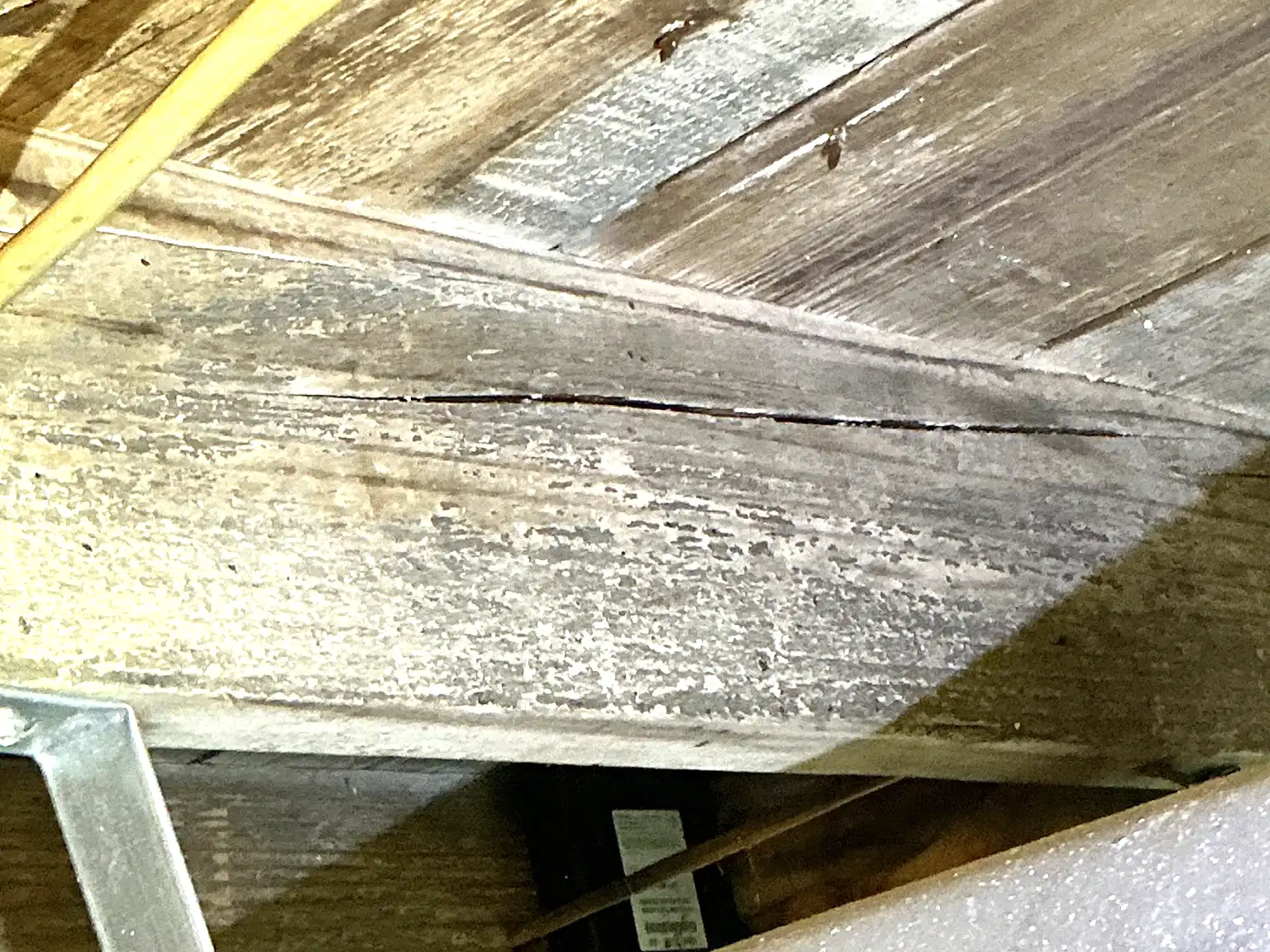 Mold found during a commercial mold inspection in Richville.