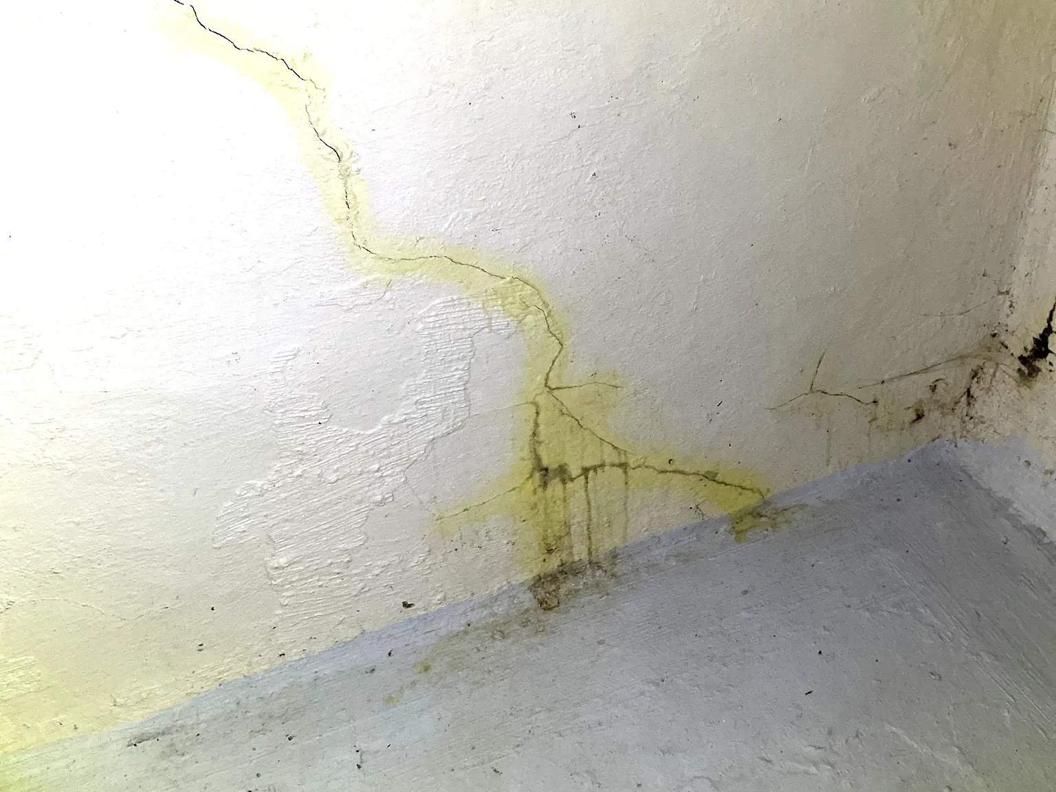 Mold found on a surface during an inspection in Riverside.