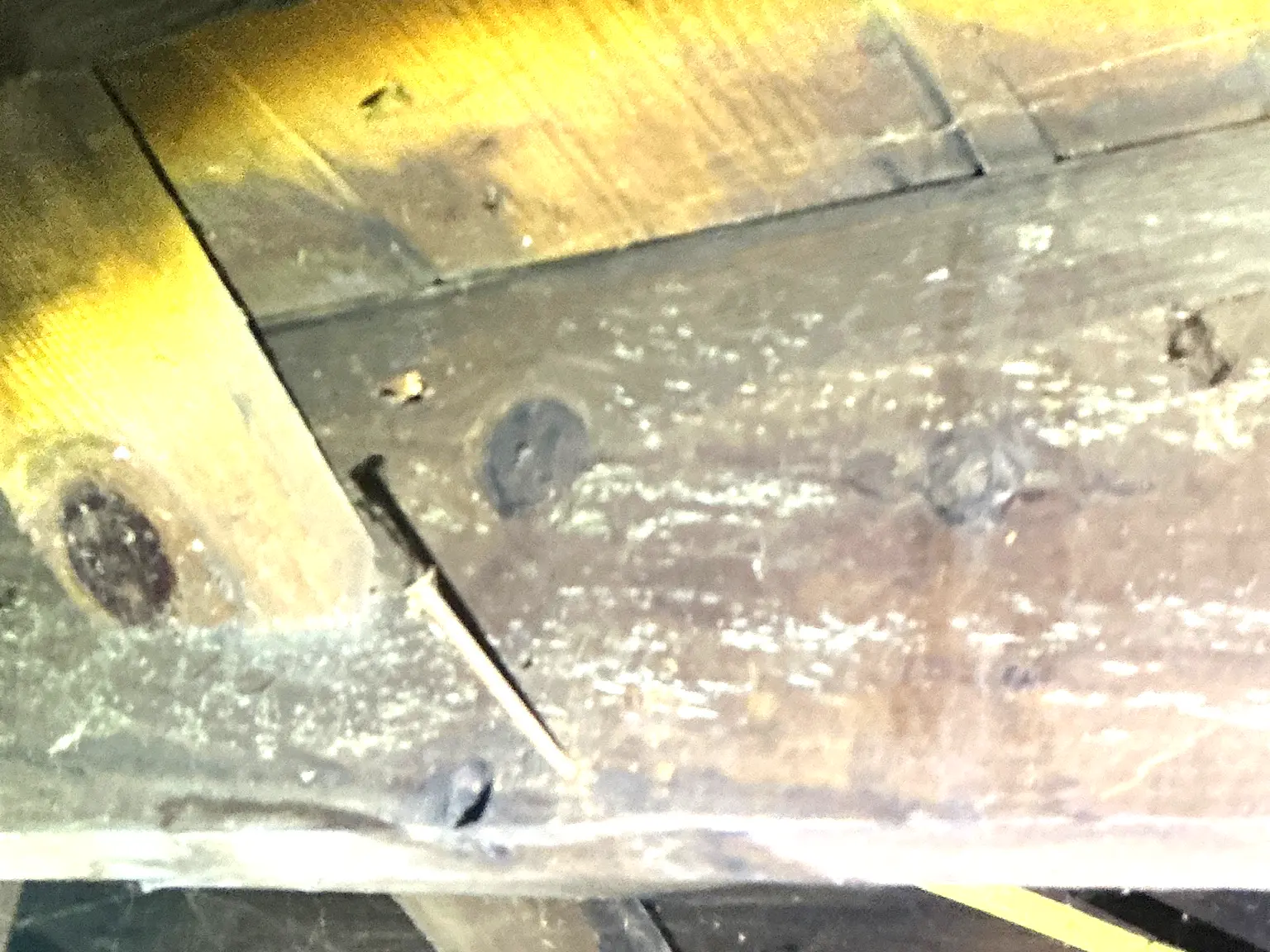 Our mold inspector found this surface mold in Riverside.