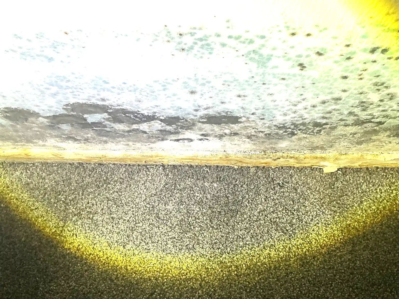 Mold found during a commercial mold inspection in Riverside.
