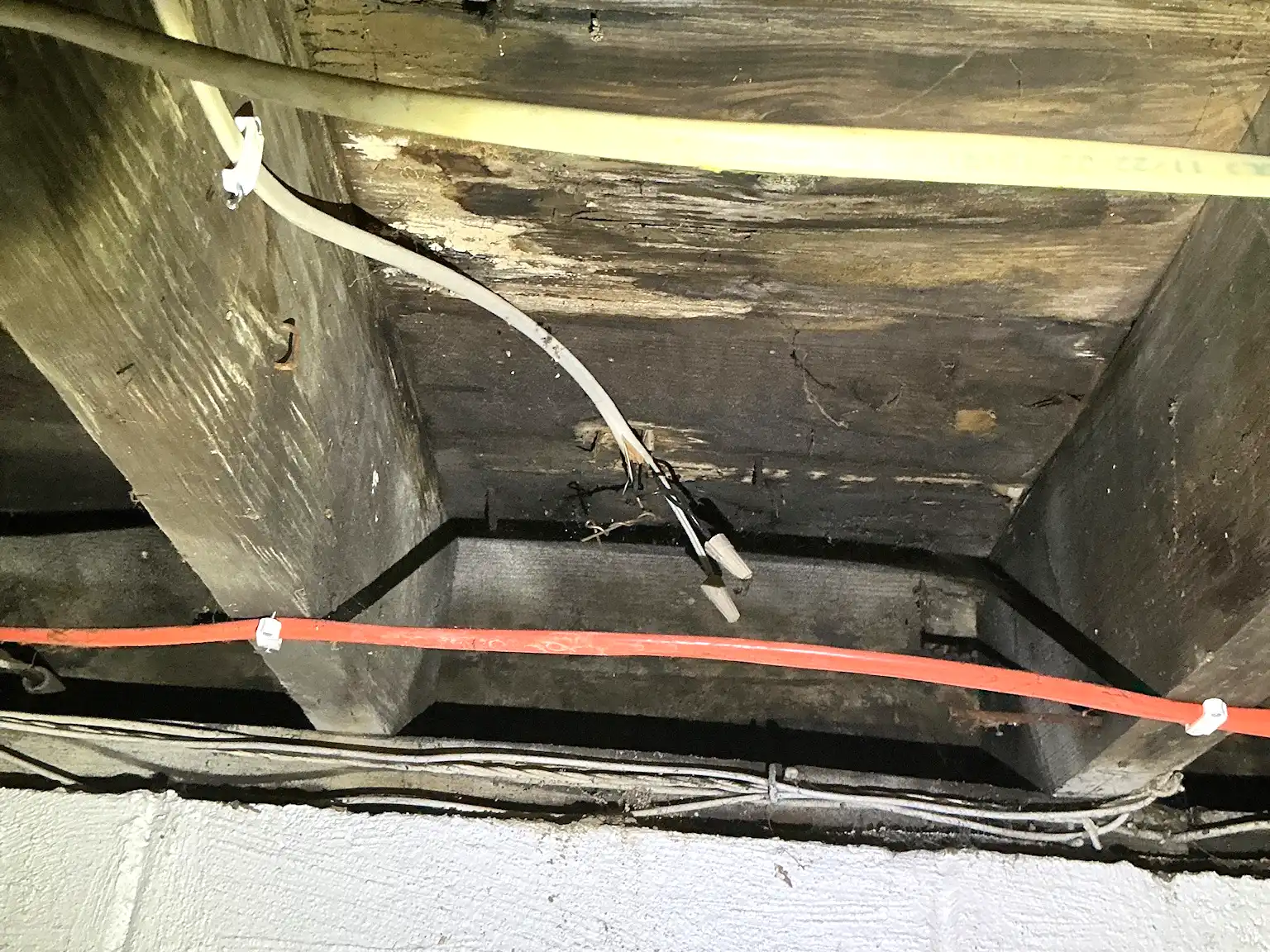 Mold inspection in Rocky River.