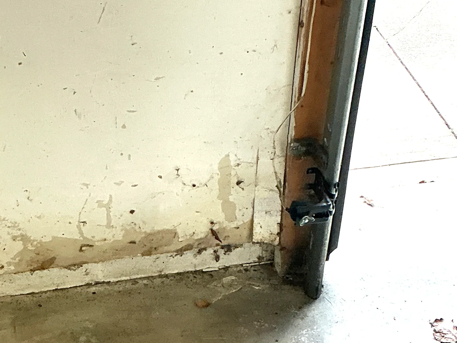 Our mold inspector found this surface mold in Rocky River.
