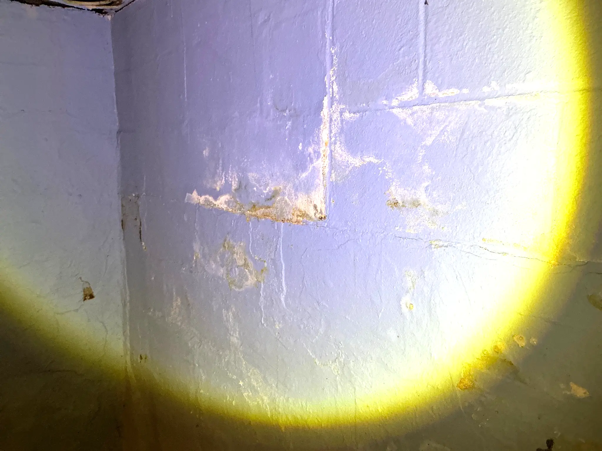 Mold found during a home inspection in Rocky River.