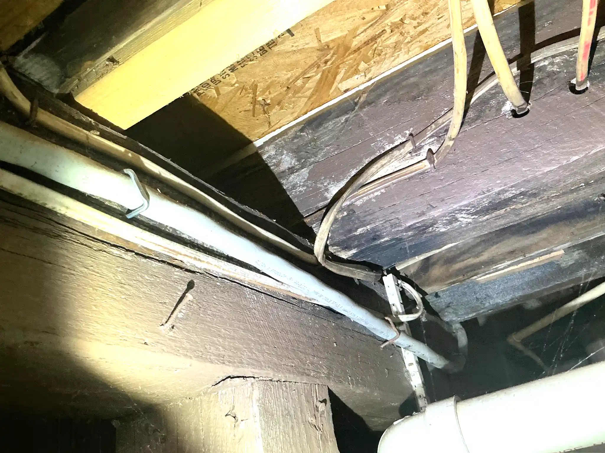 Mold found during a commercial mold inspection in Rocky River.