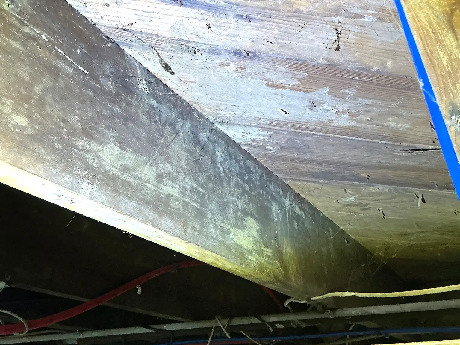 Mold found on a surface during an inspection in Rootstown.