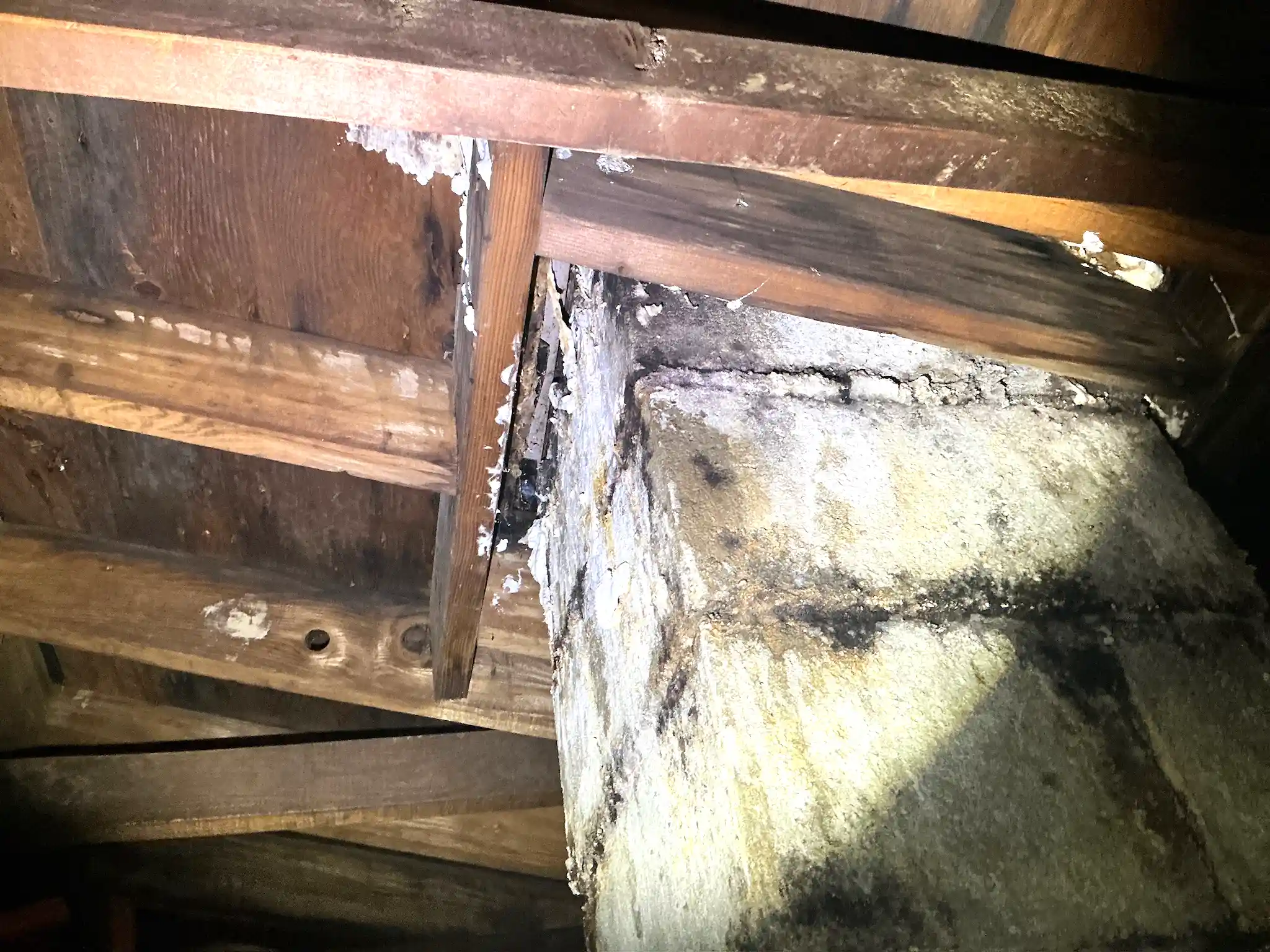 Mold inspection in Rootstown.