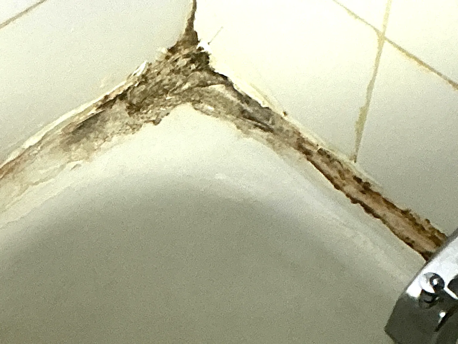 Mold found during a home inspection in Rootstown.