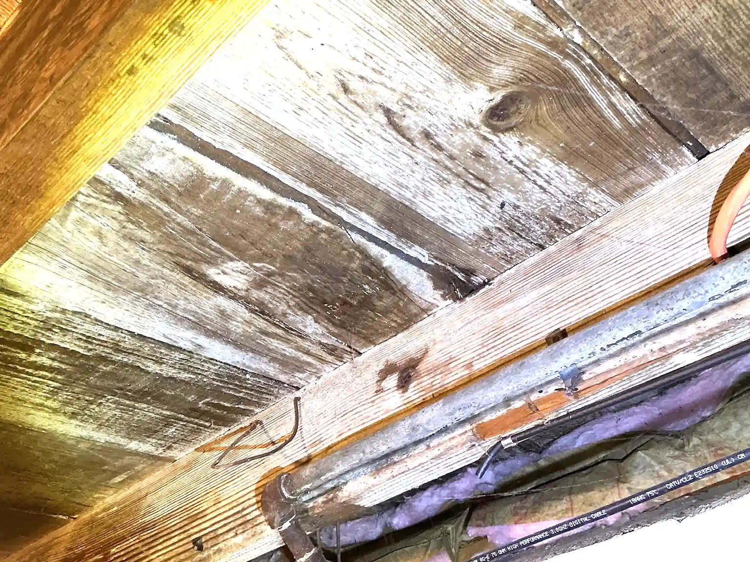 Mold found during a commercial mold inspection in Rootstown.
