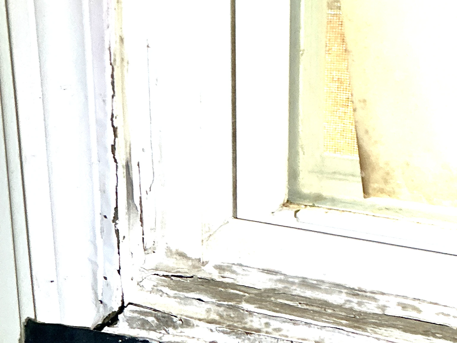 Mold found during a home inspection in Sagamore Hills.