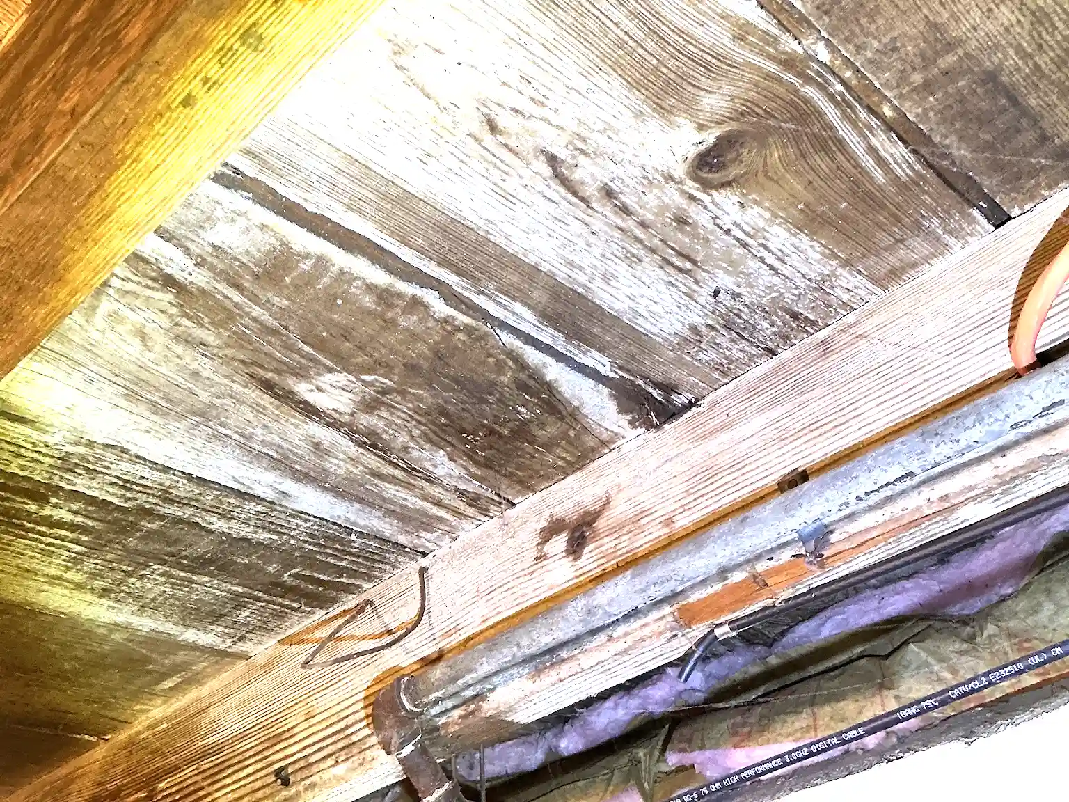 Mold found during a commercial mold inspection in Sagamore Hills.