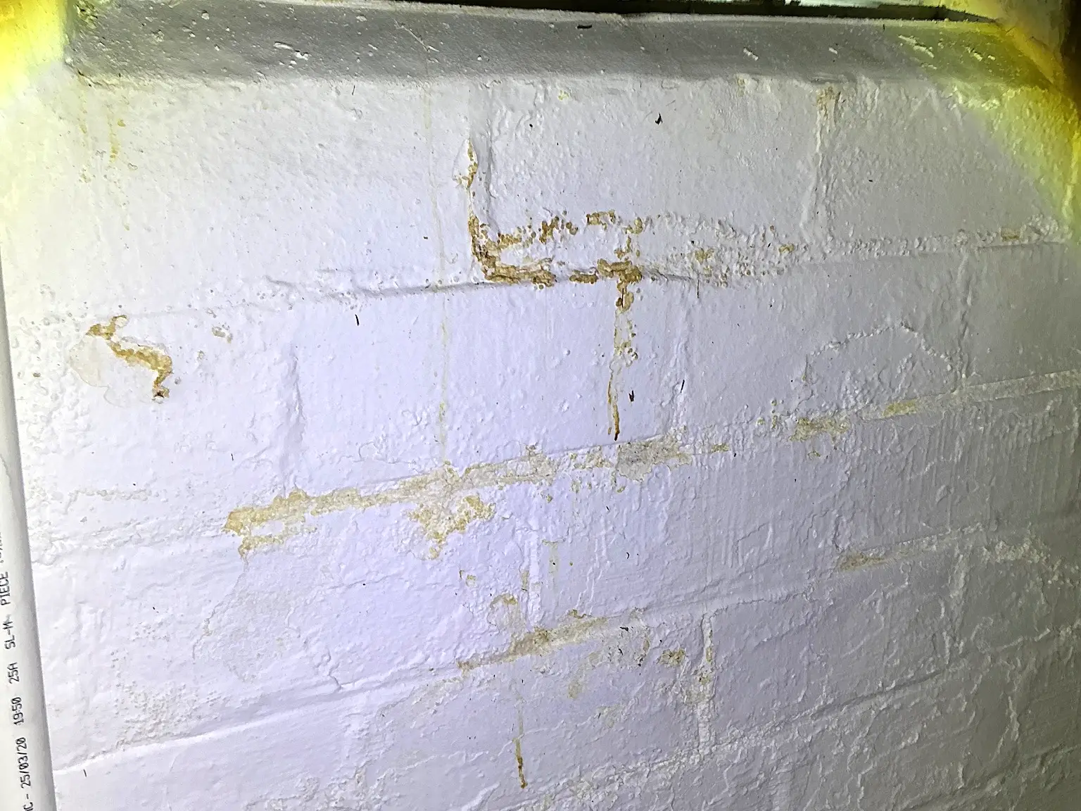 Look at what our mold inspector found in Seven Hills..