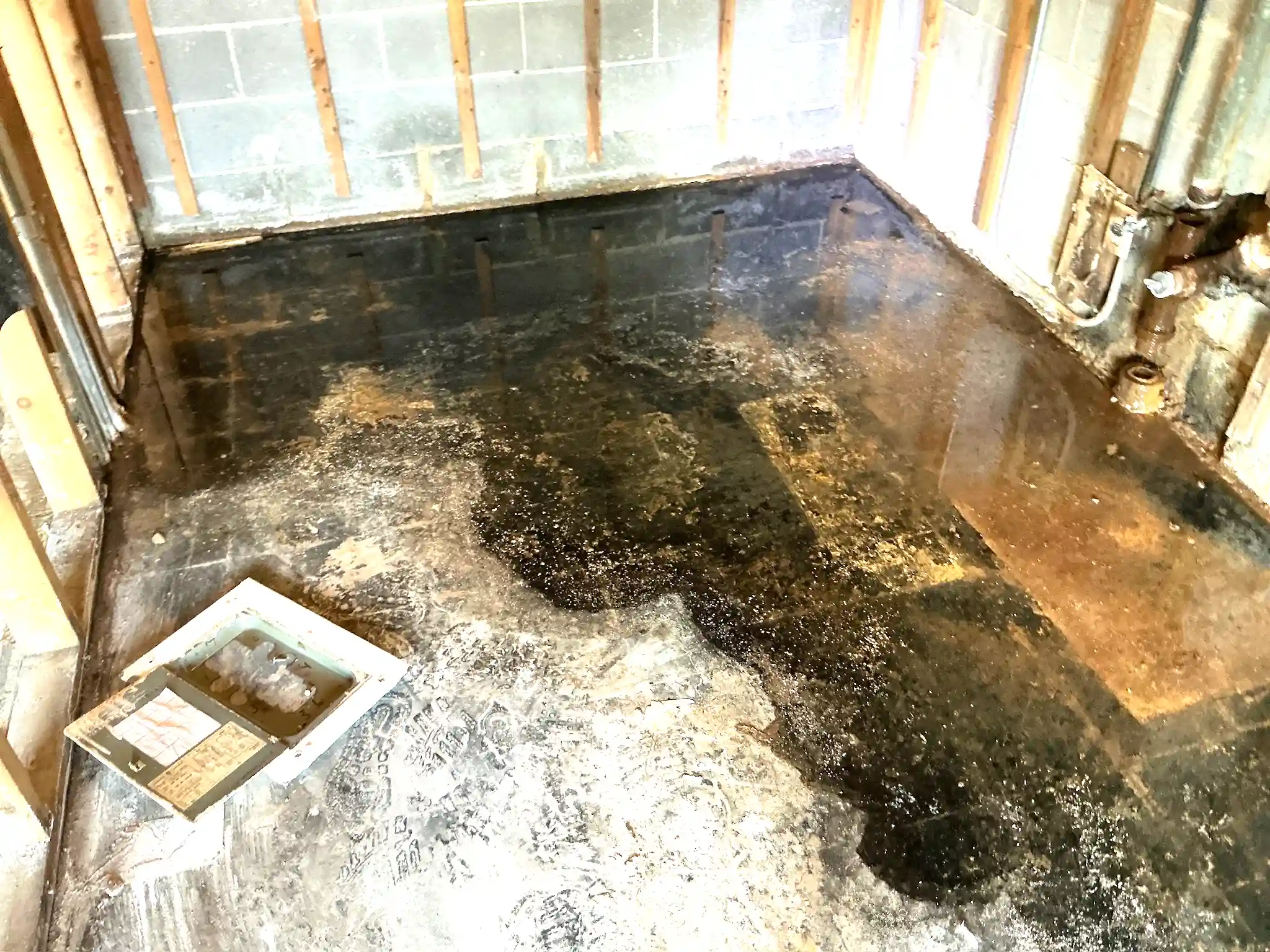 Mold found during a home inspection in Shaker Heights.