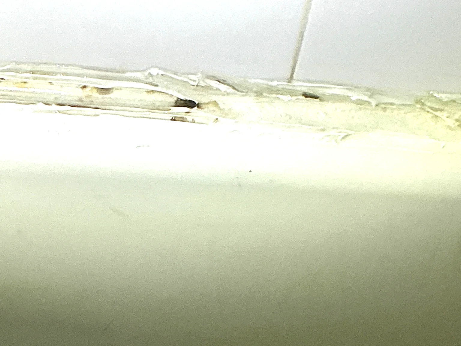 Look at what our mold inspector found in Silver Lake..