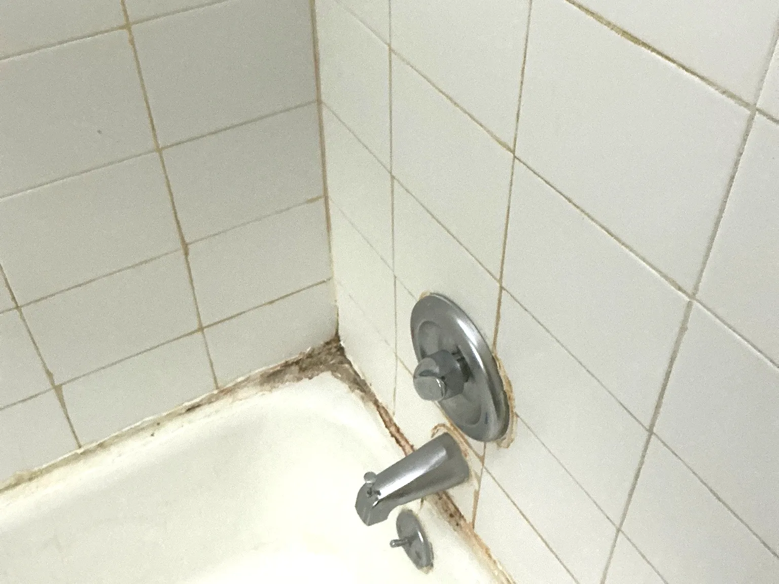 Mold inspection in Silver Lake.