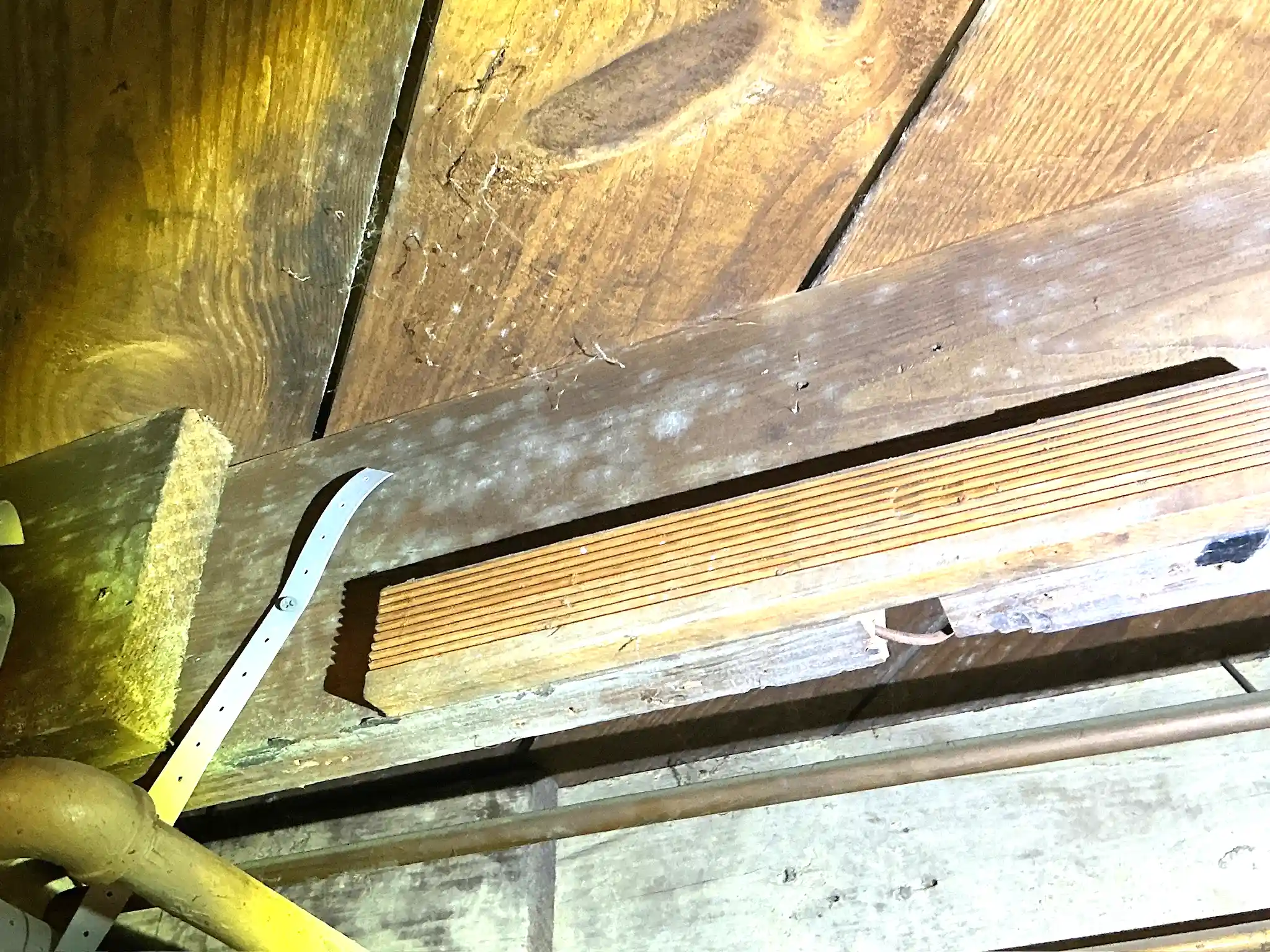 Mold found during a home inspection in Silver Lake.