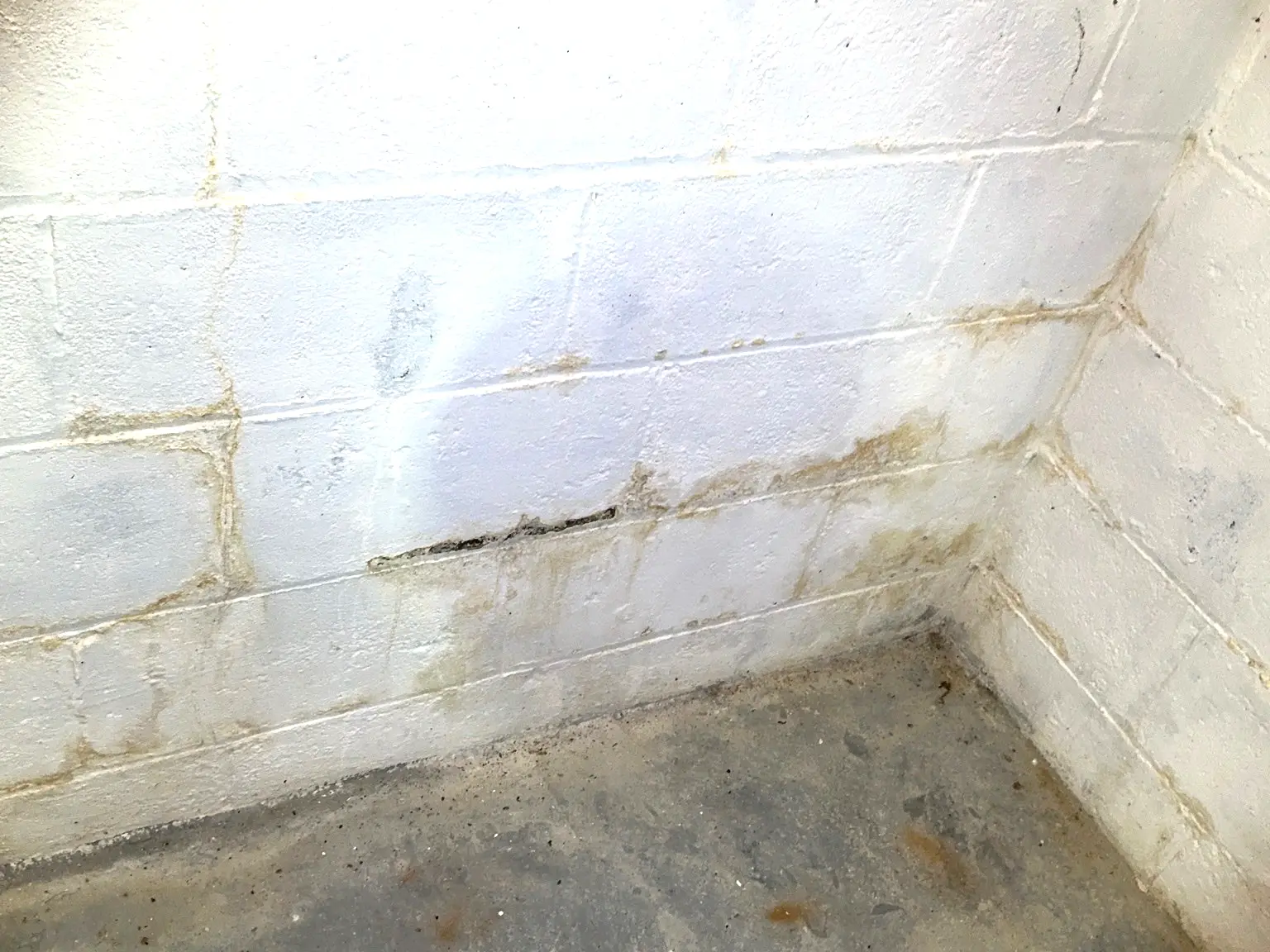 Look at what our mold inspector found in Solon..