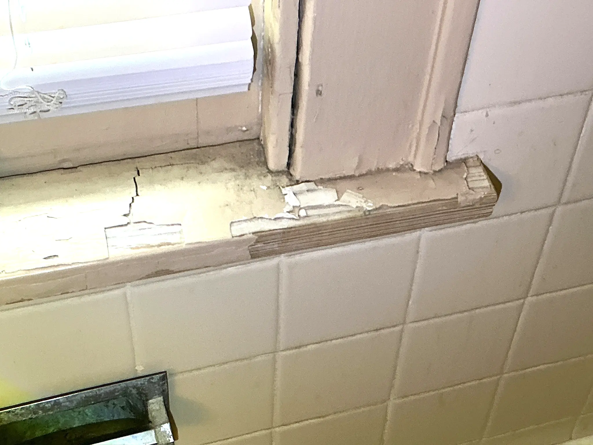 Mold inspection in Solon.