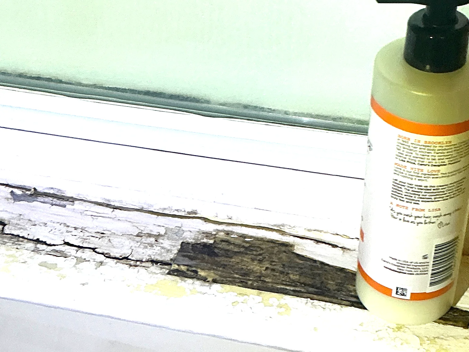 Mold found on a surface during an inspection in South Brooklyn.