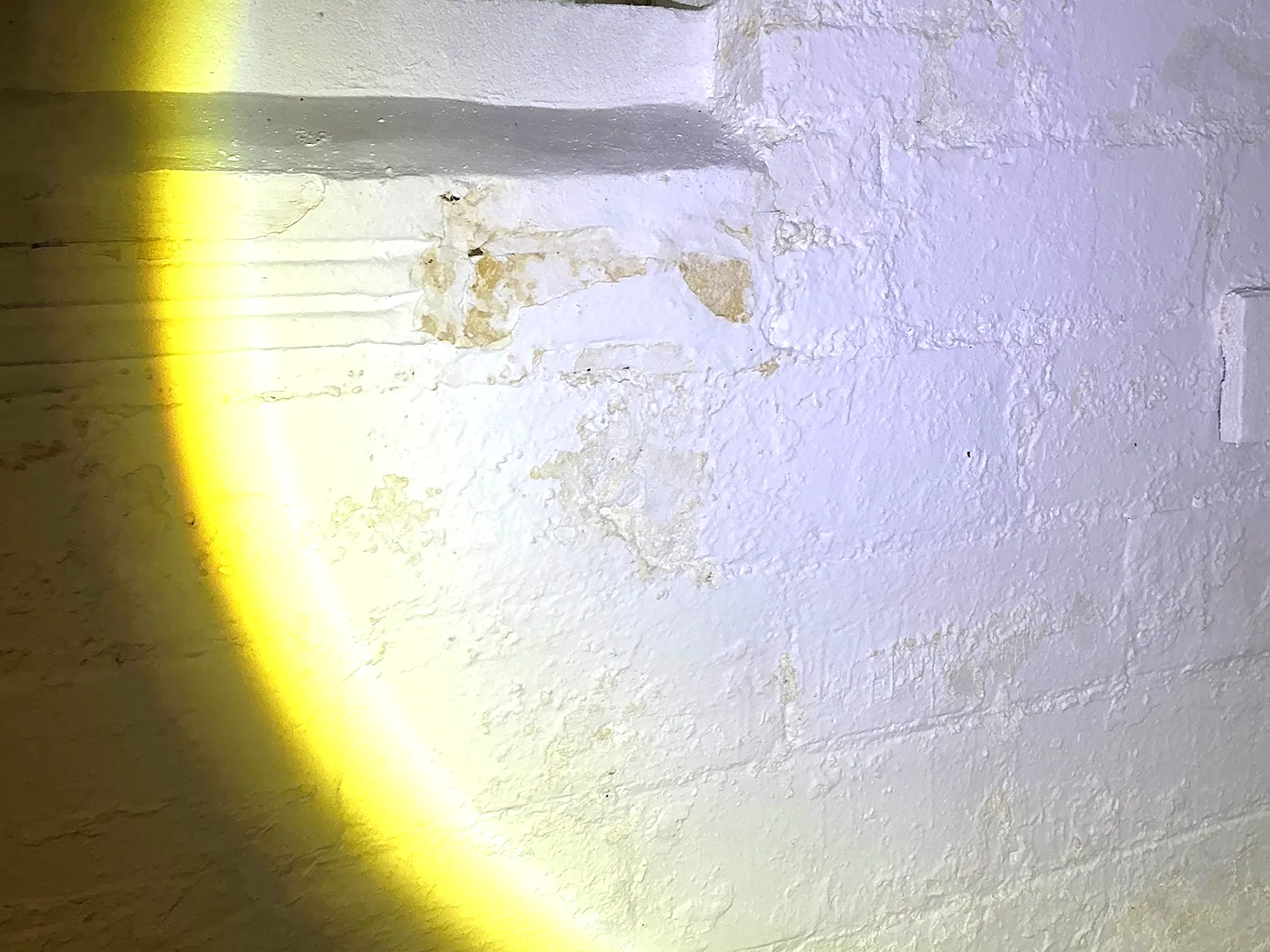 Mold inspection in South Brooklyn.