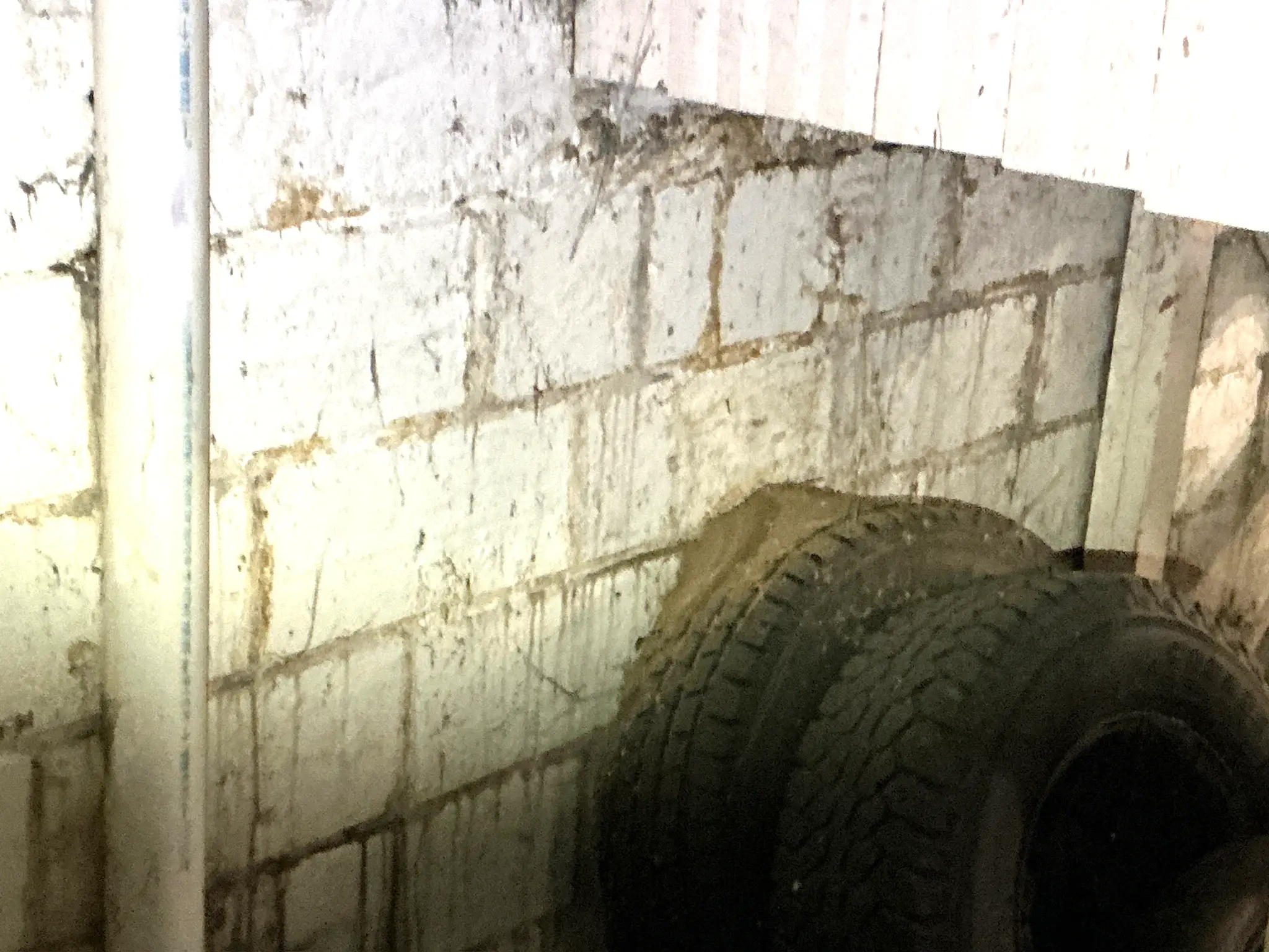 Mold found on a surface during an inspection in South Euclid.